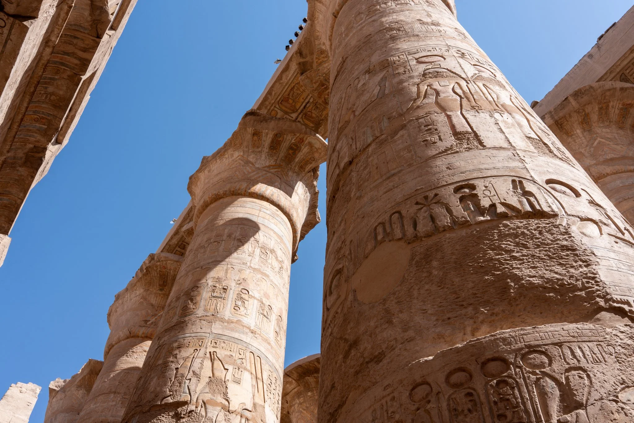 2026 - 06 - 294 Marsa Alam.JPG