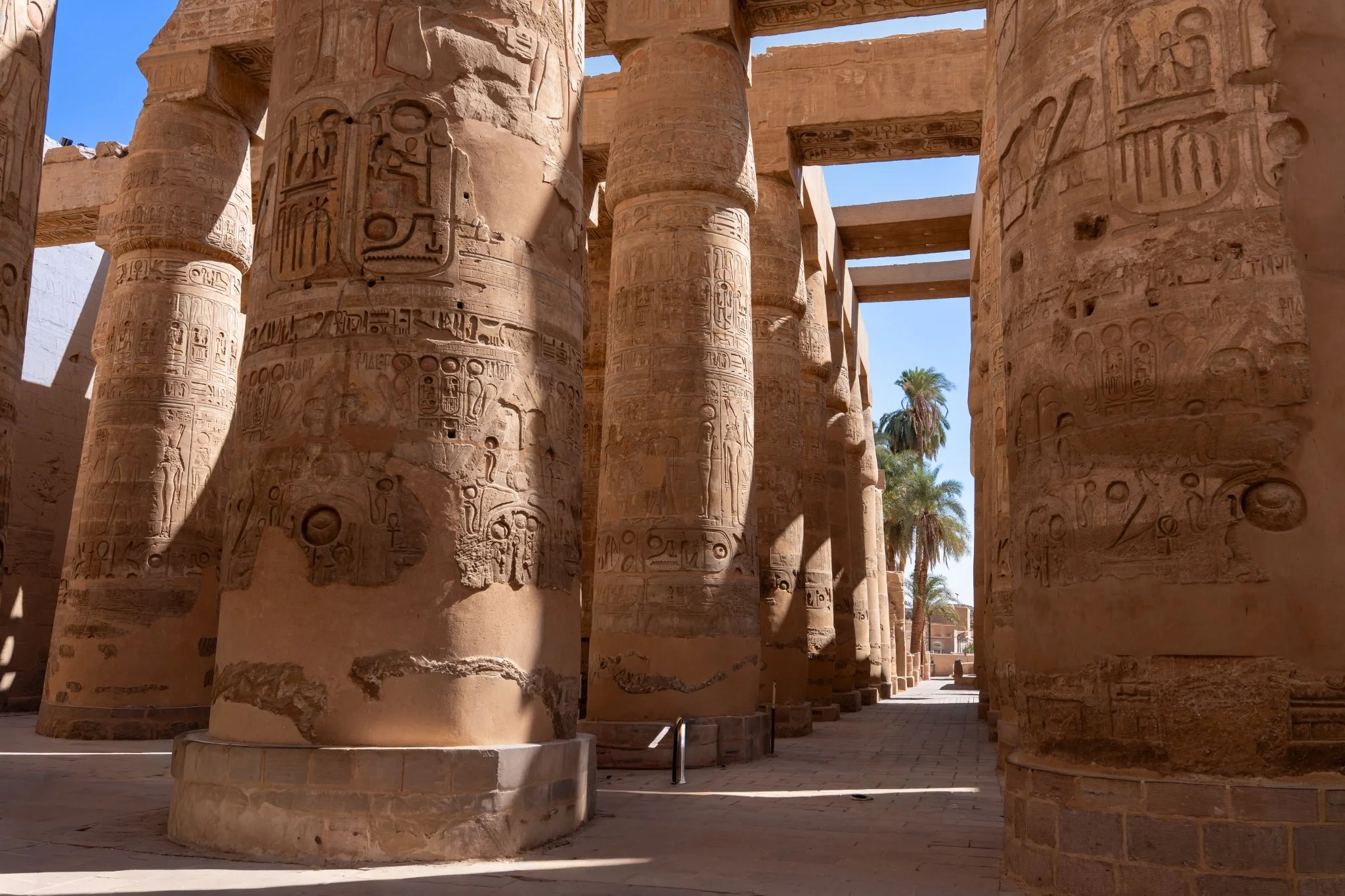 2026 - 06 - 298 Marsa Alam.JPG