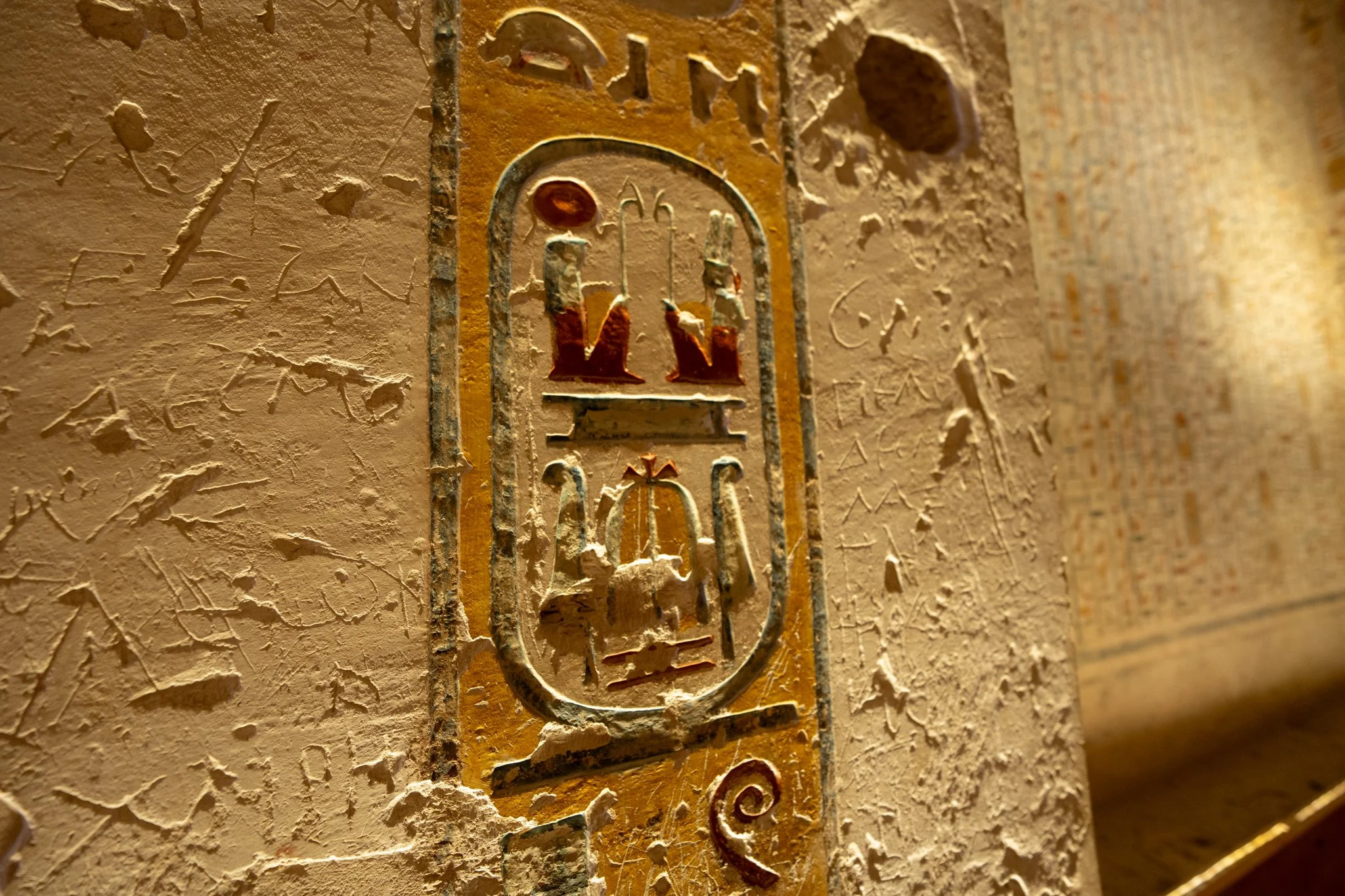 2026 - 06 - 346 Marsa Alam.JPG