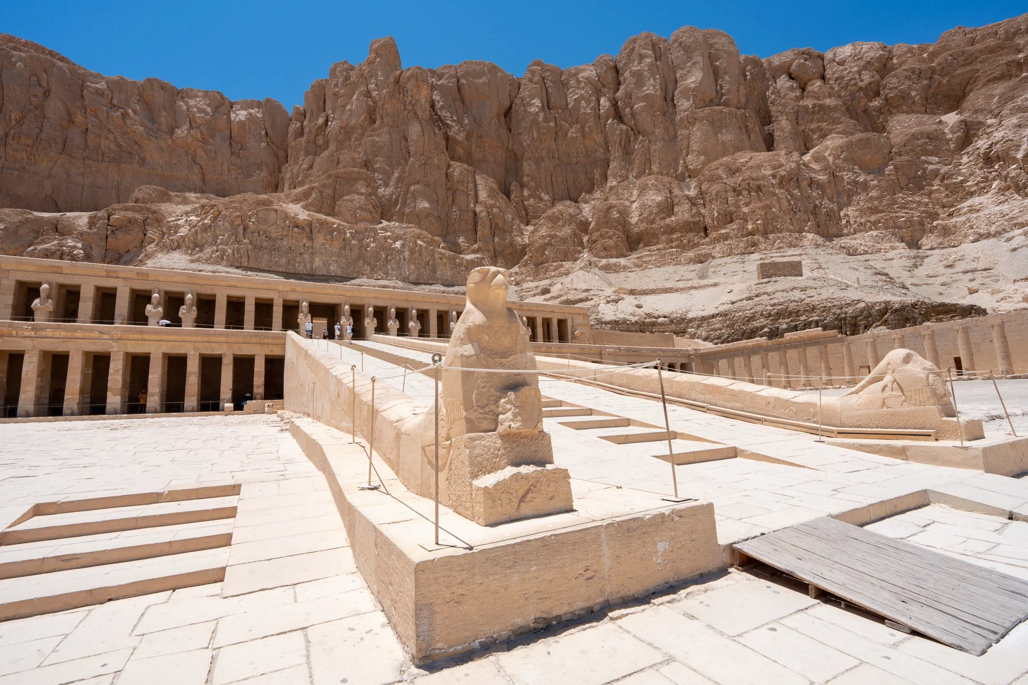 2026 - 06 - 501 Marsa Alam.JPG