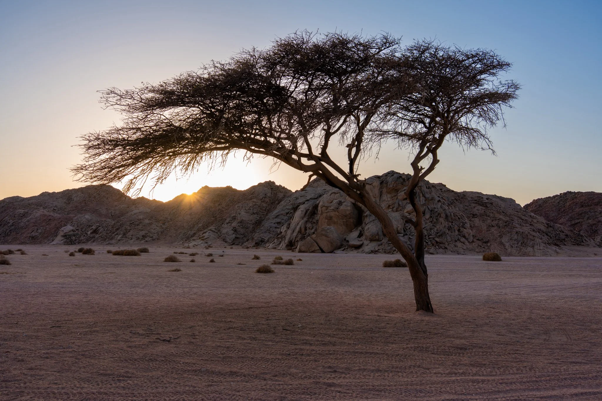 Marsa Alam - Il deserto