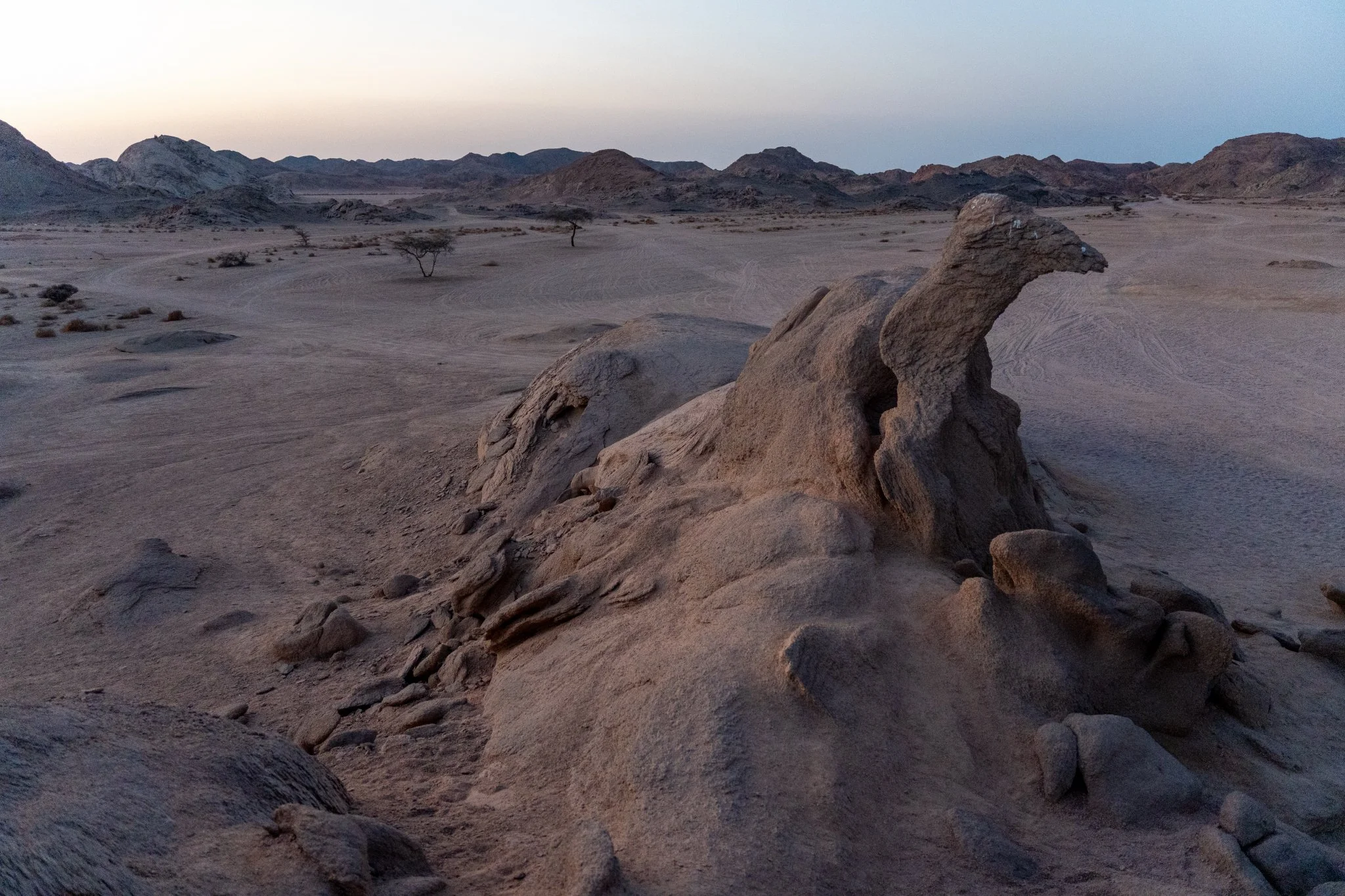 Marsa Alam - Il deserto