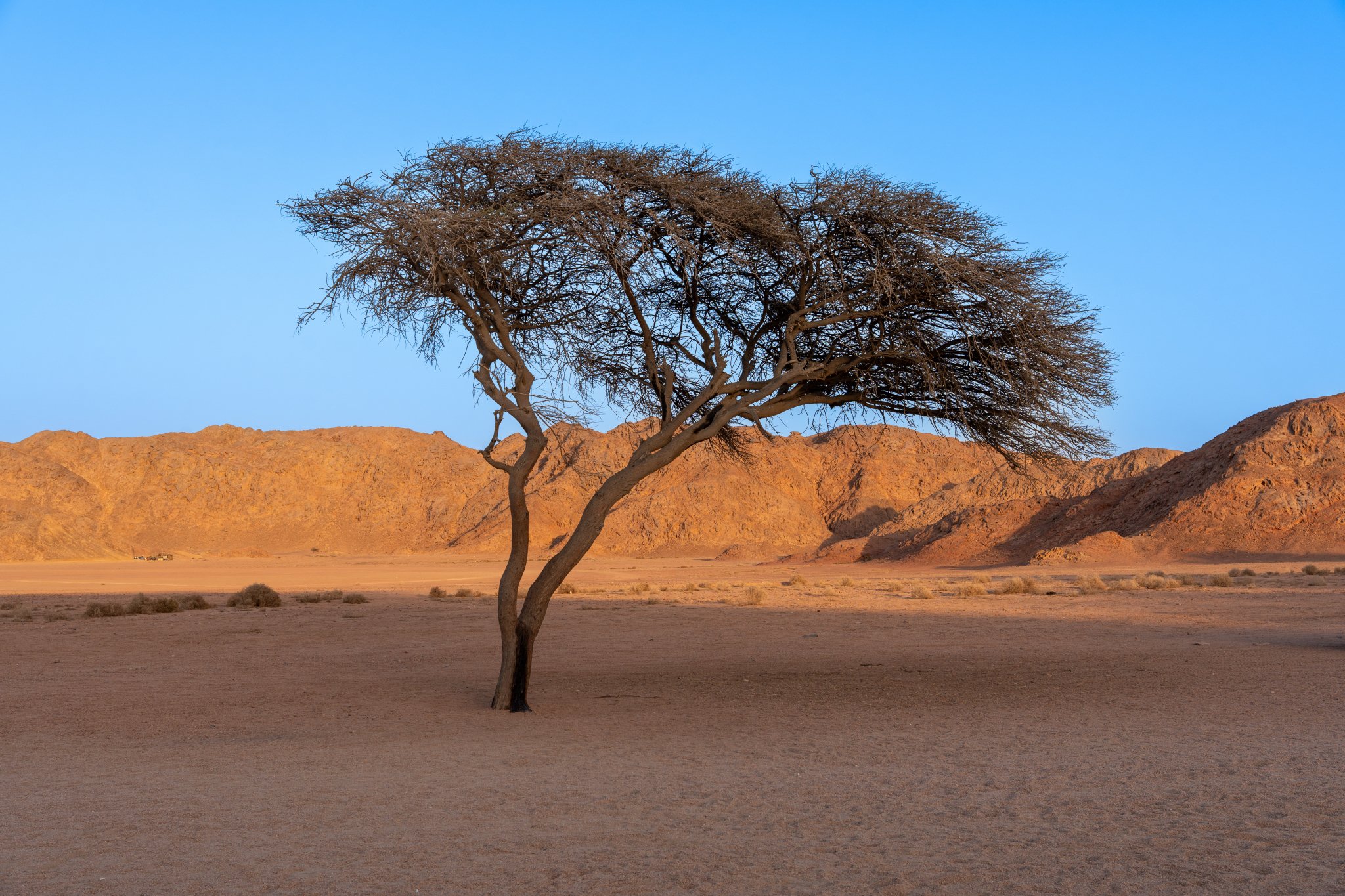 Marsa Alam - Il deserto