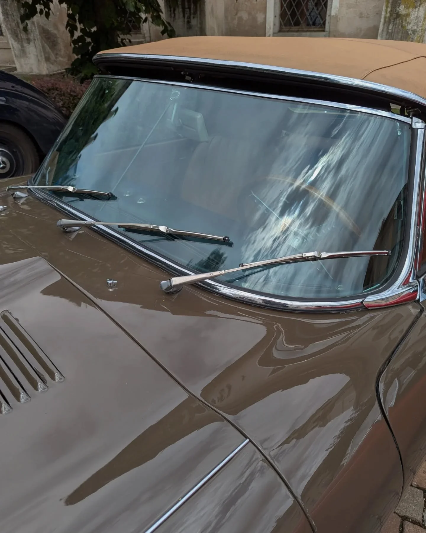 October vibes 
#profanterbags