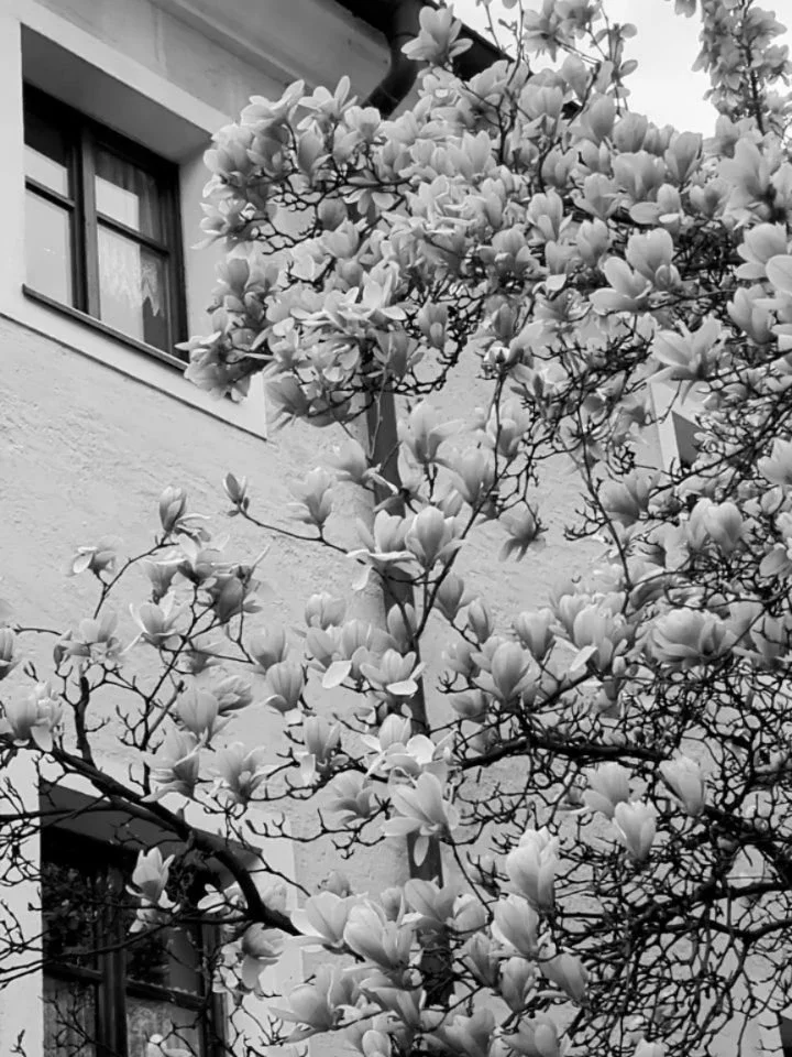 Slowly into spring 
#profanterbags