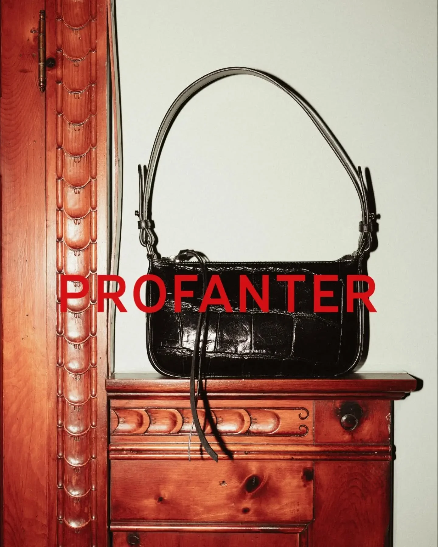 FALL WINTER 26 
PROFANTER BILLARDS EVENING 
THE ISA BAG 
PHOTOGRAPHED BY @mirkostrozzega 
JUNE 2026
VAHRN, VILLA MAYR 
#ProfanterFW26 #profanterbags