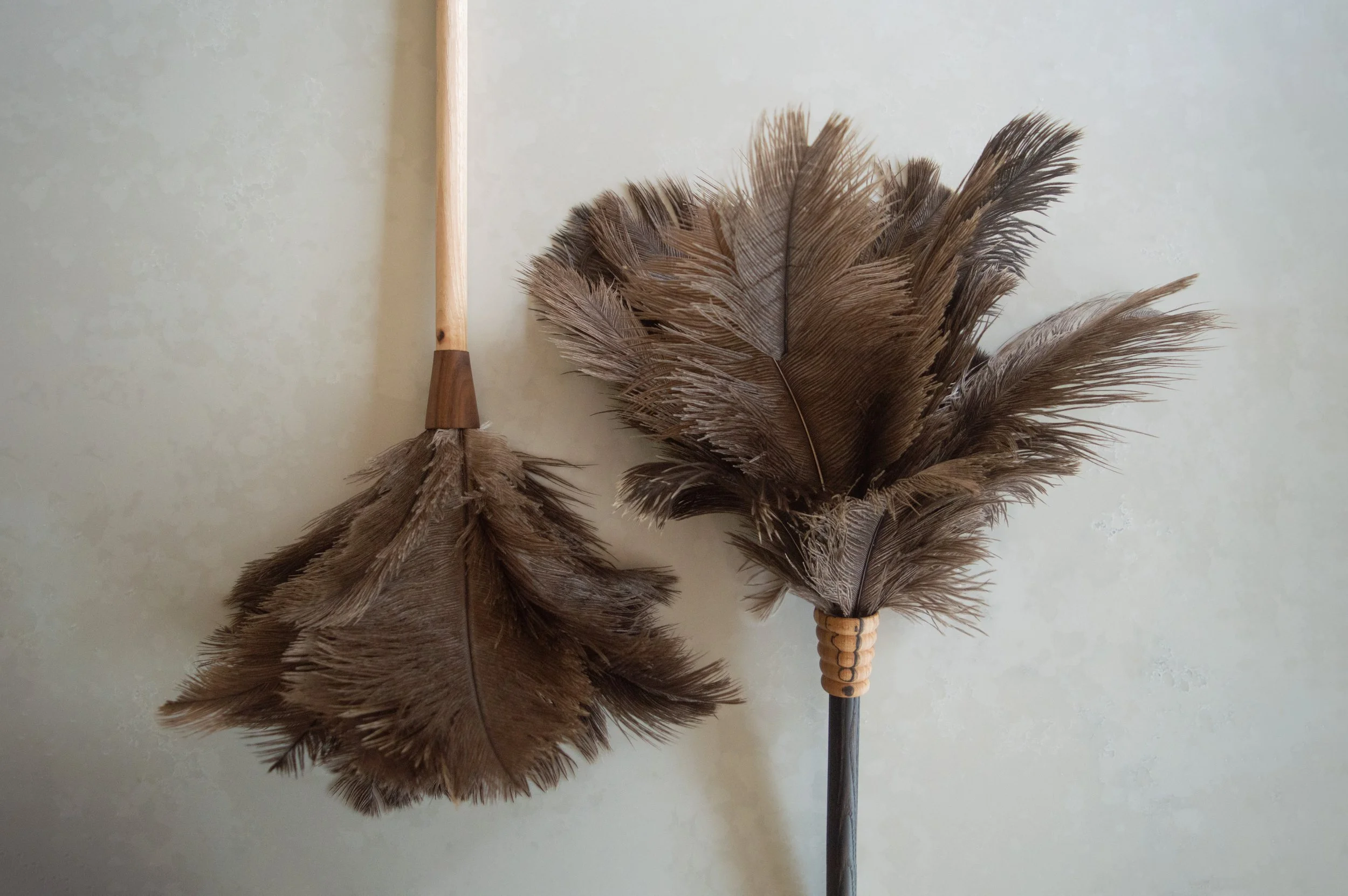 Feather Duster