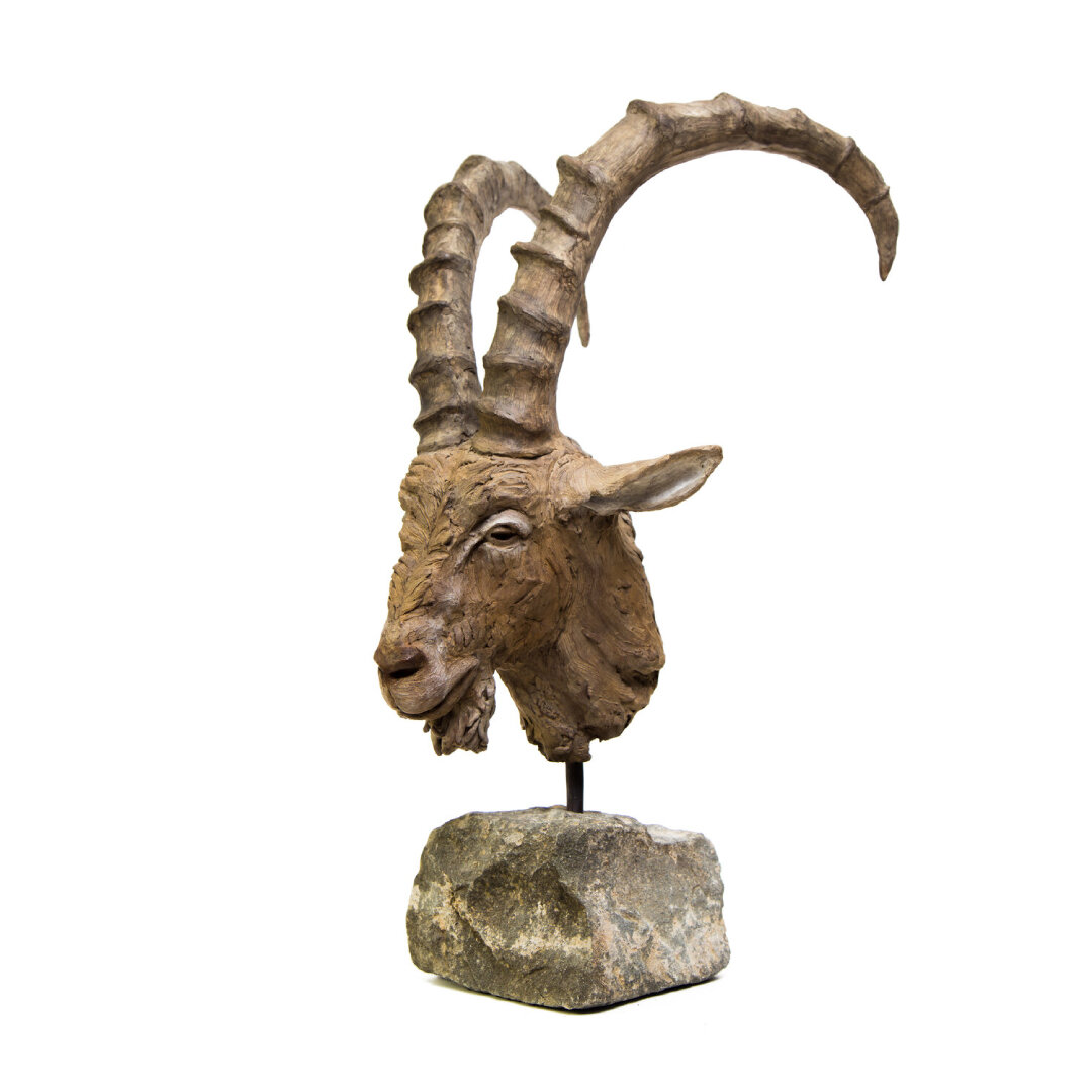 VincenzoRomanelli-Ibex-sq-1080.jpg