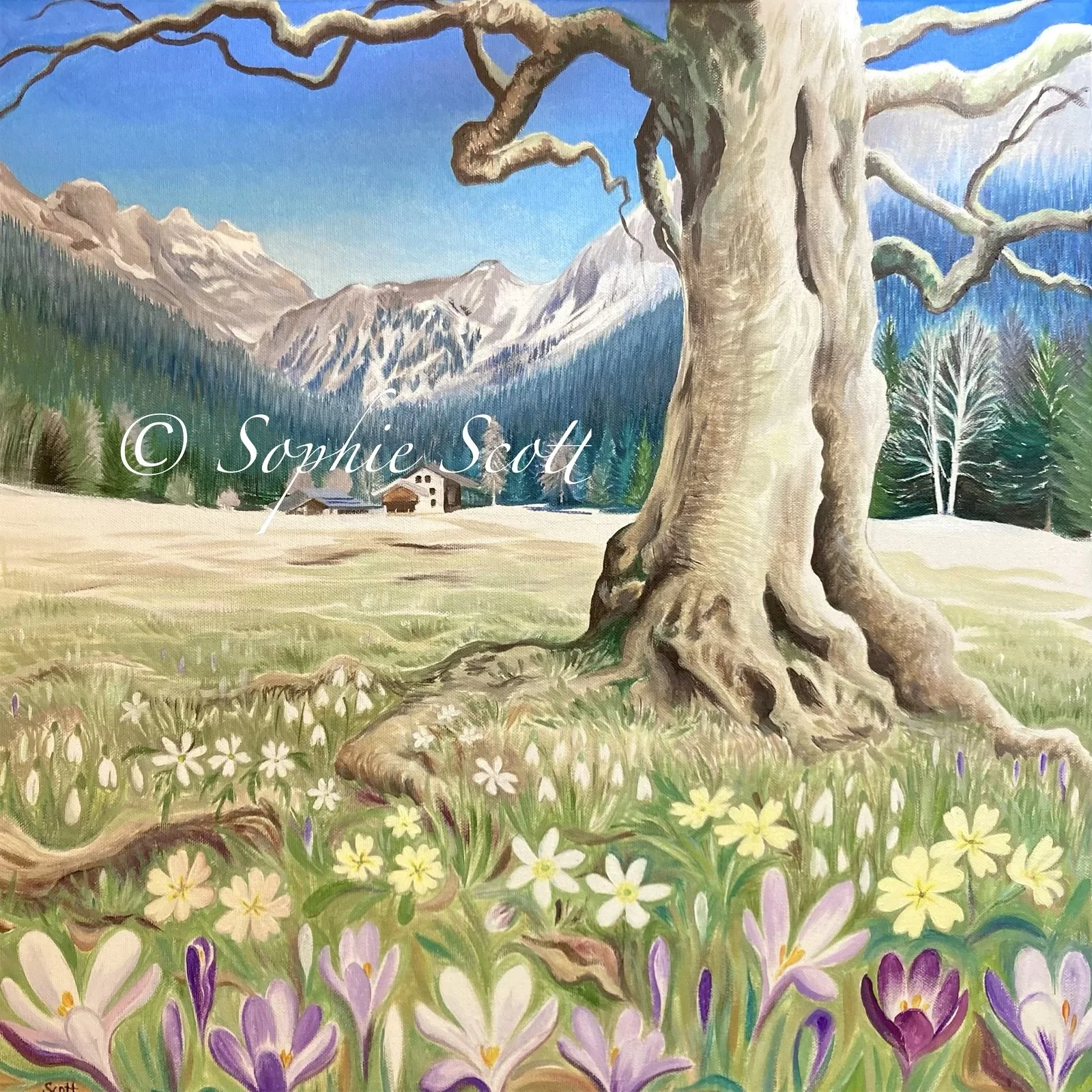 'Springtime in the Solalex Valley'