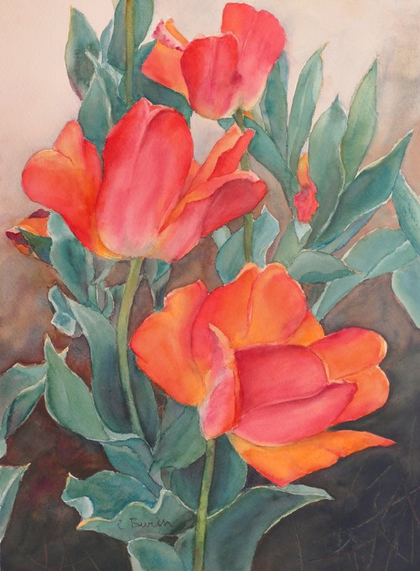 Elizabeth Burin, Three Tulips.jpg
