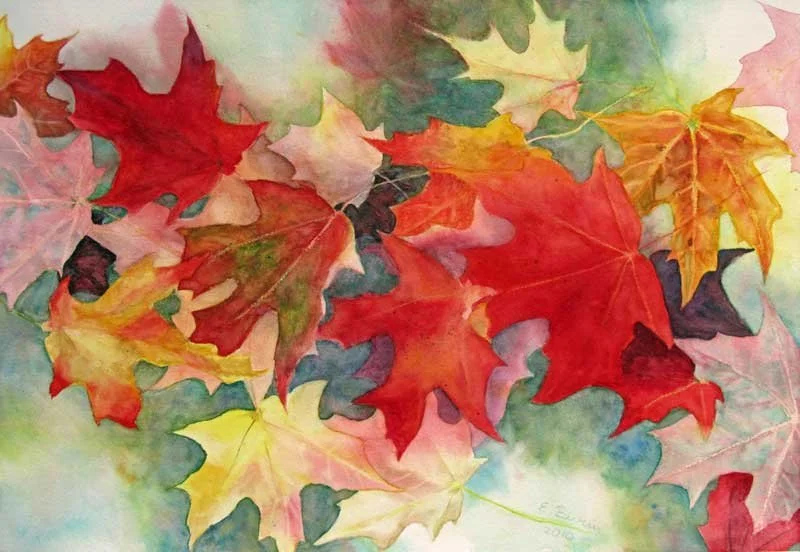Elizabeth-Burin,-Maple-Drift.jpg