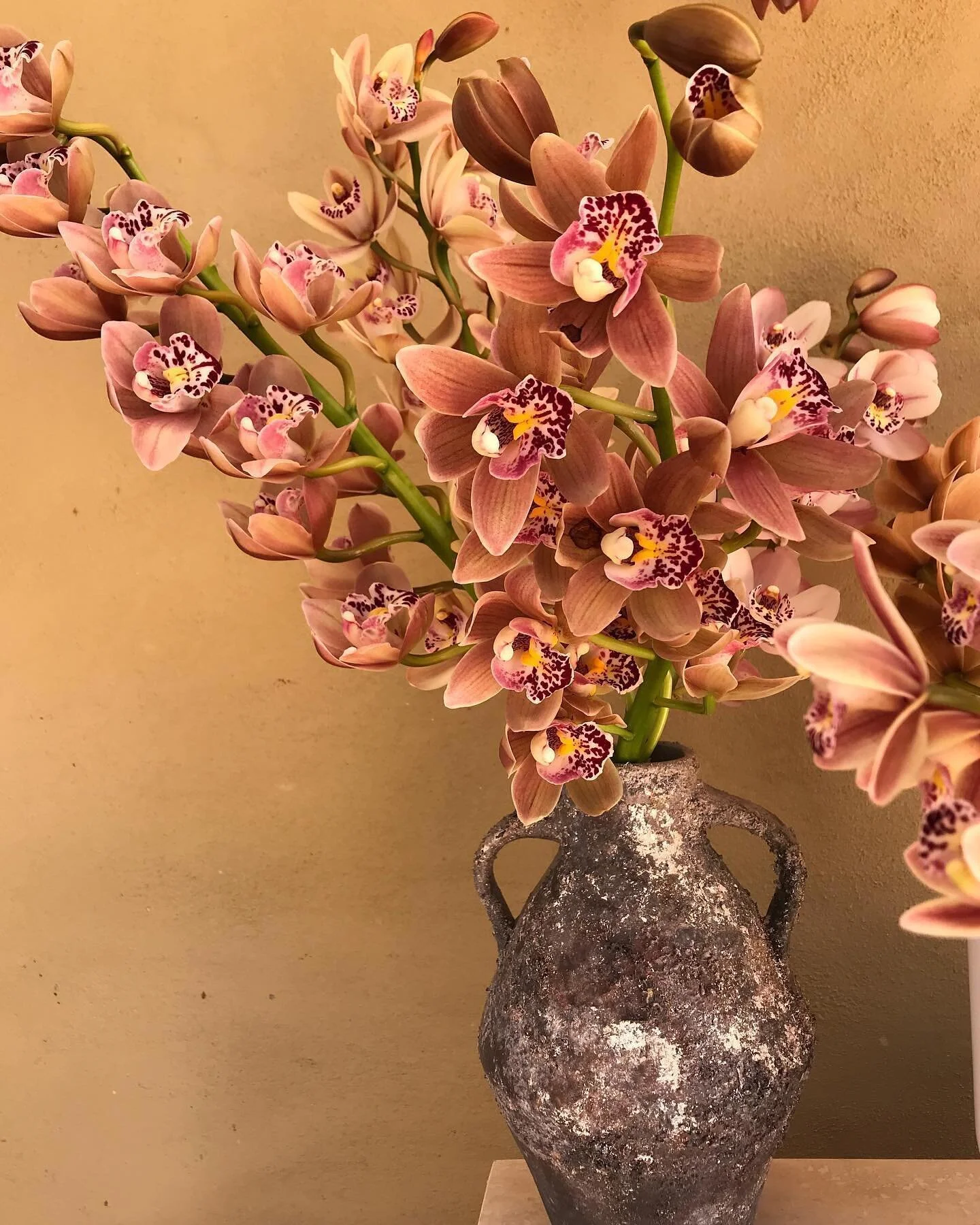 Sunday tones 🧡

📸: @wildernessflowers_