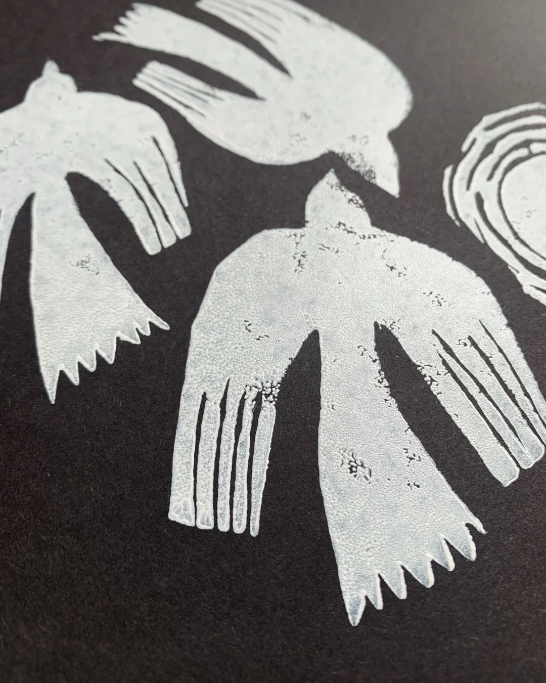 peace doves close up.jpg