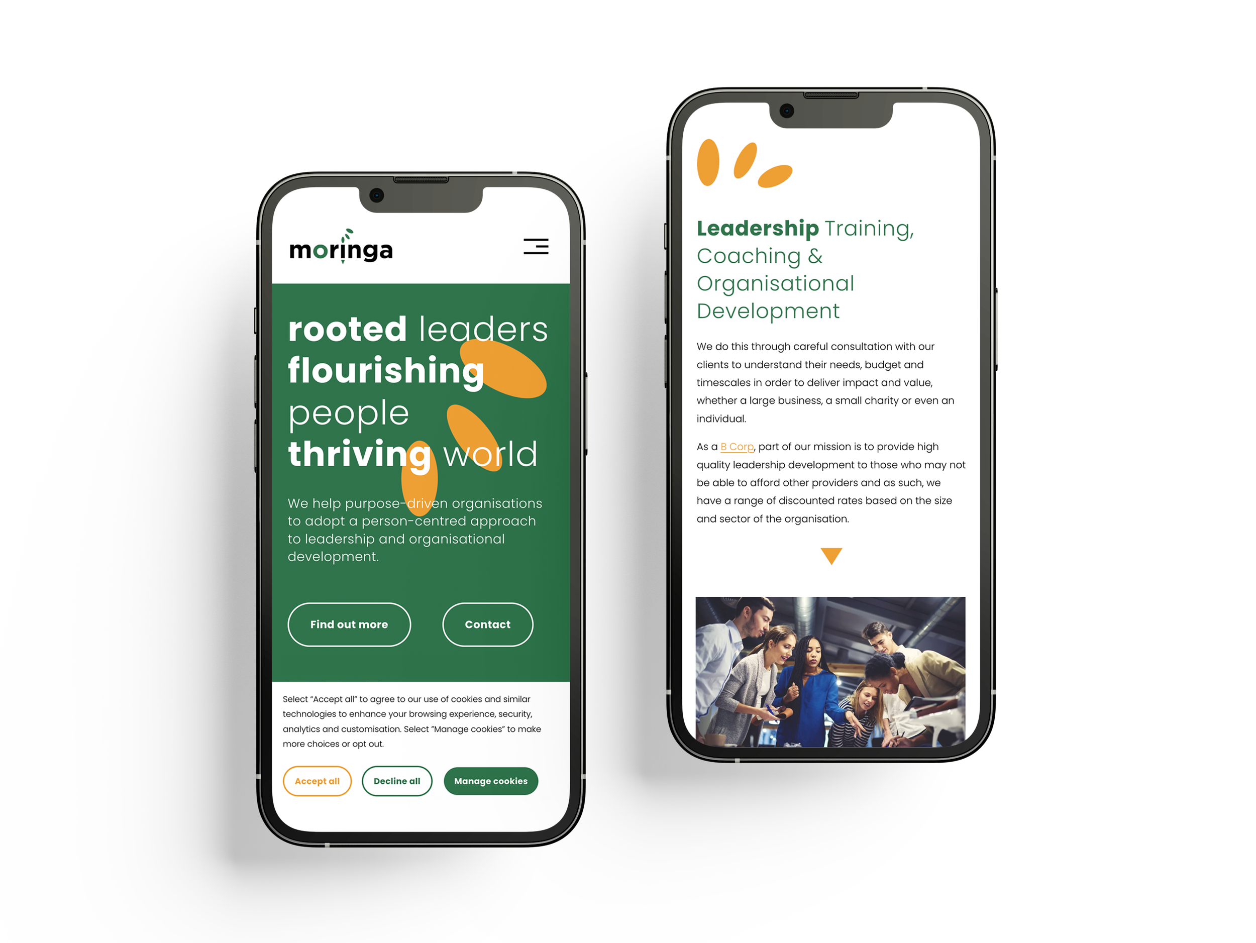 Moringa - Leadership & Organisational Development