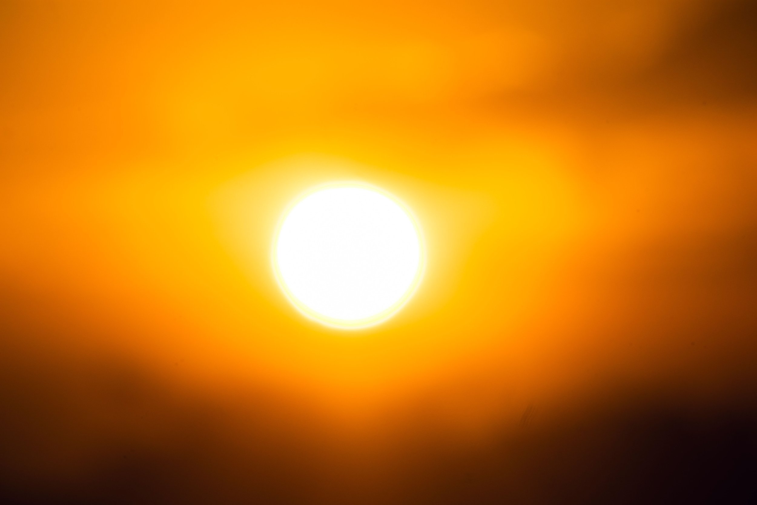 August Heat