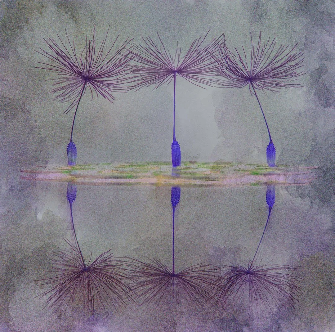 Seed reflections 3 - difference.jpg