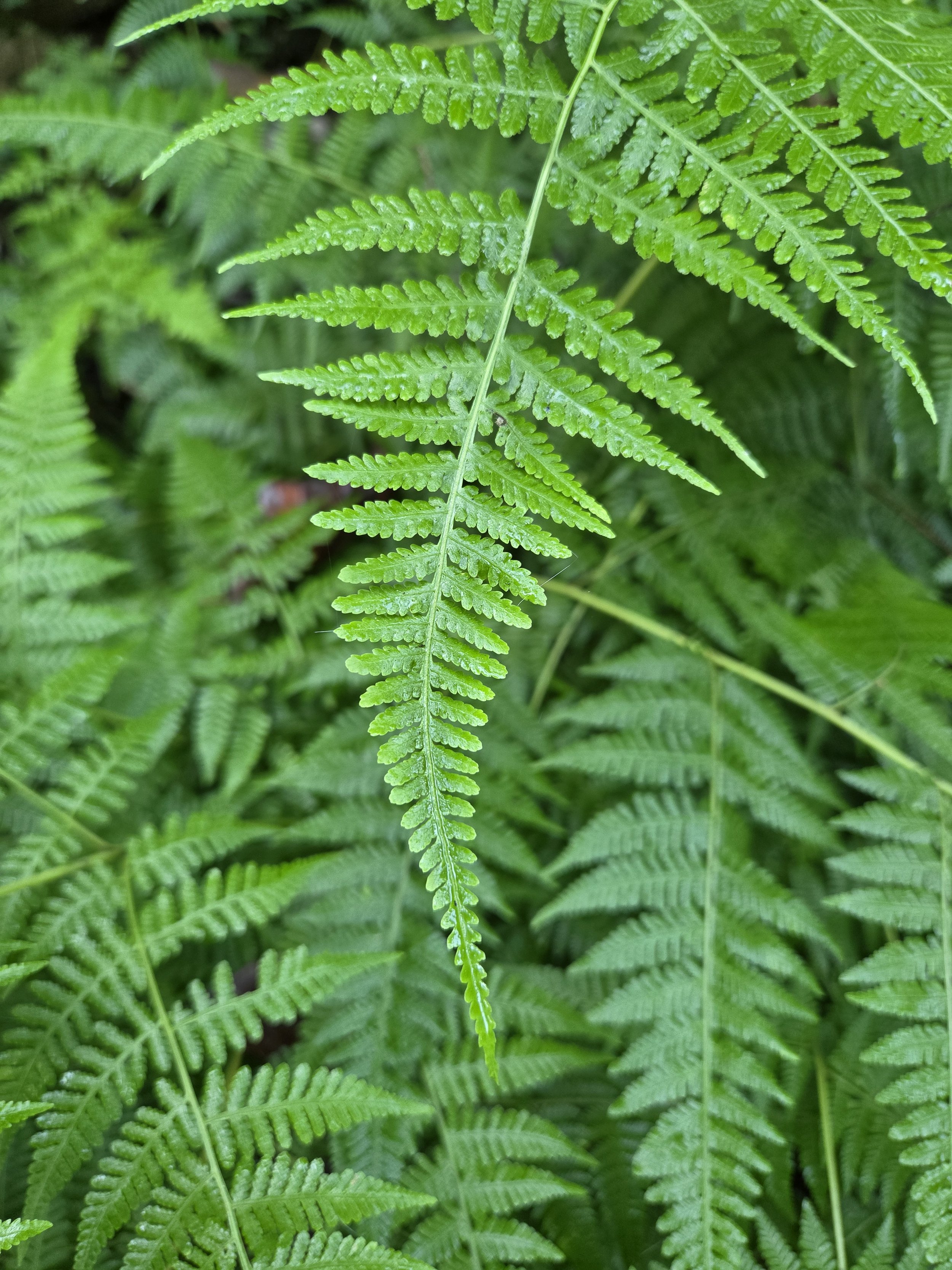 20260921_094754.jpg