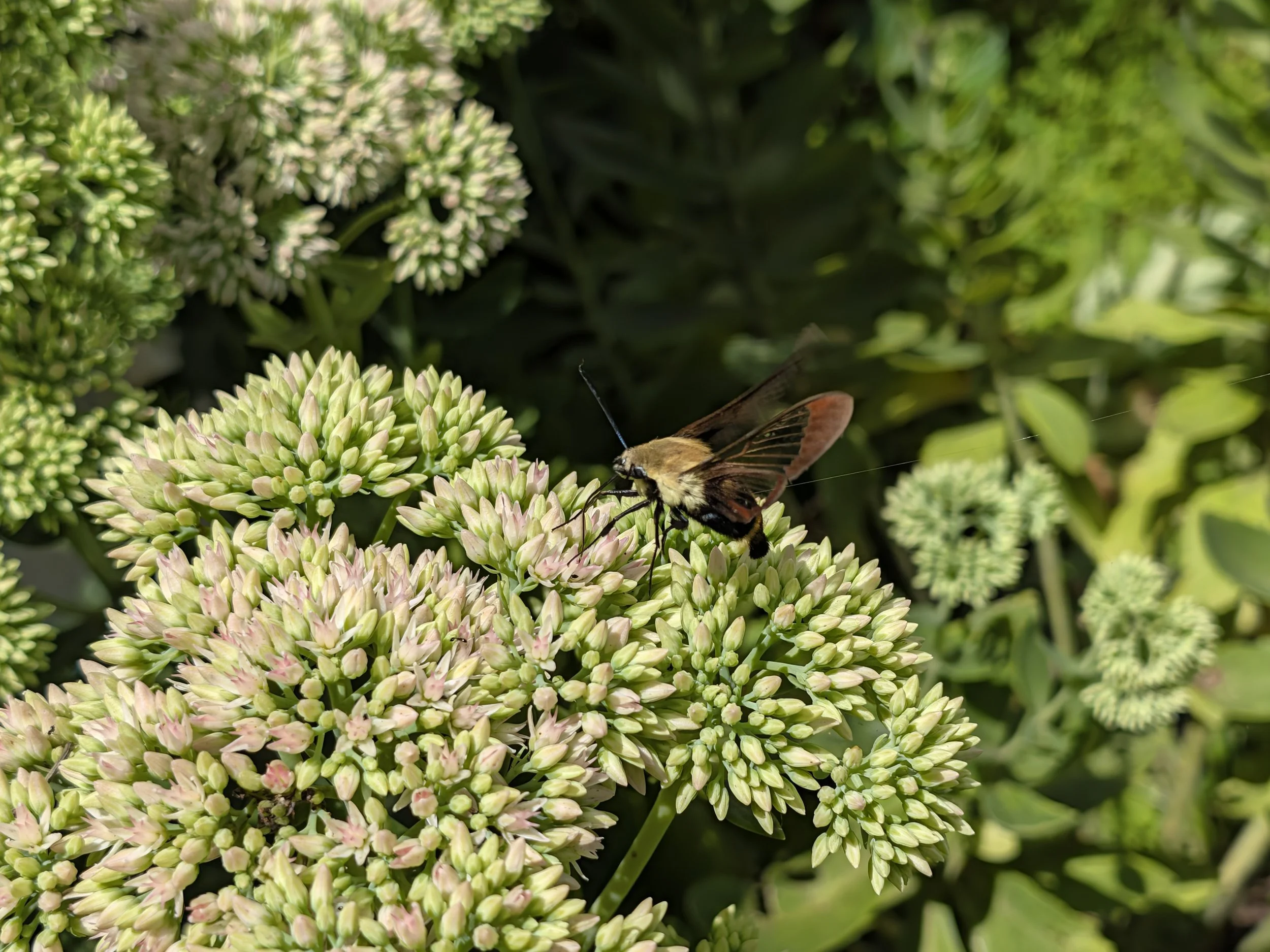 PXL_20260822_163326560.jpg