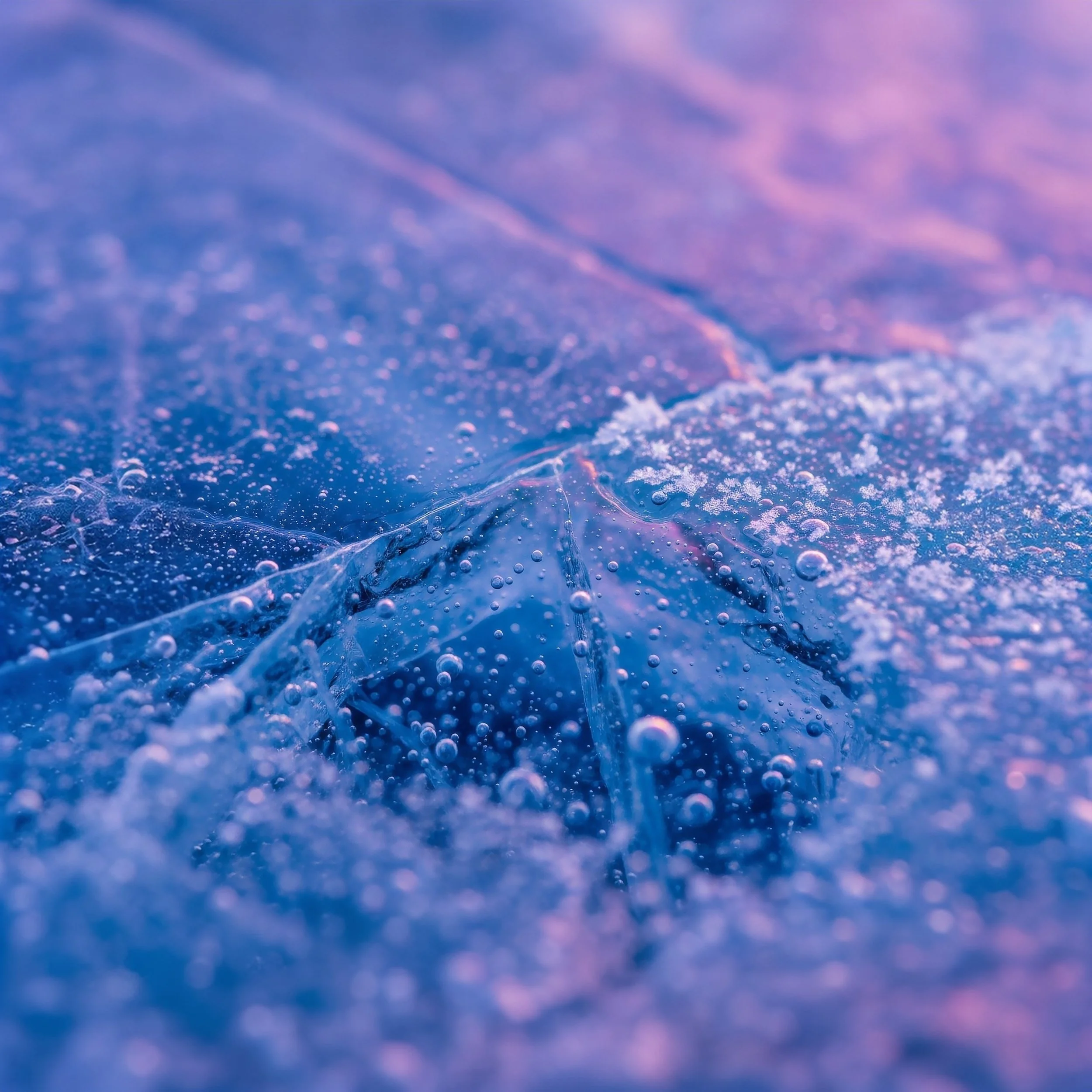 Close-up view of ice with small air bubbles trapped inside, illuminated with purple and pink light.