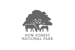 New Forest National Park