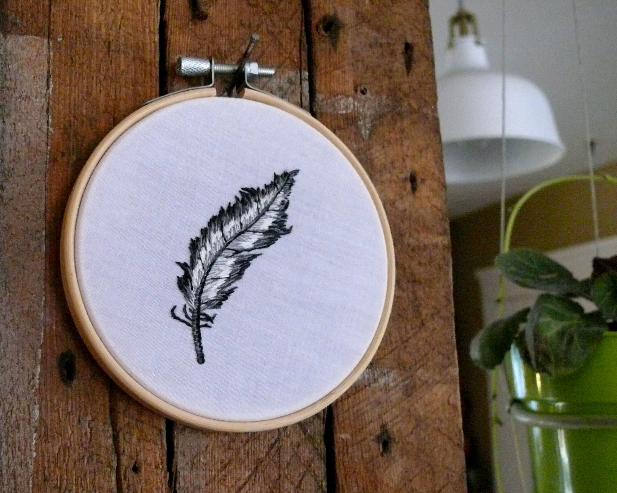 feather2.jpg