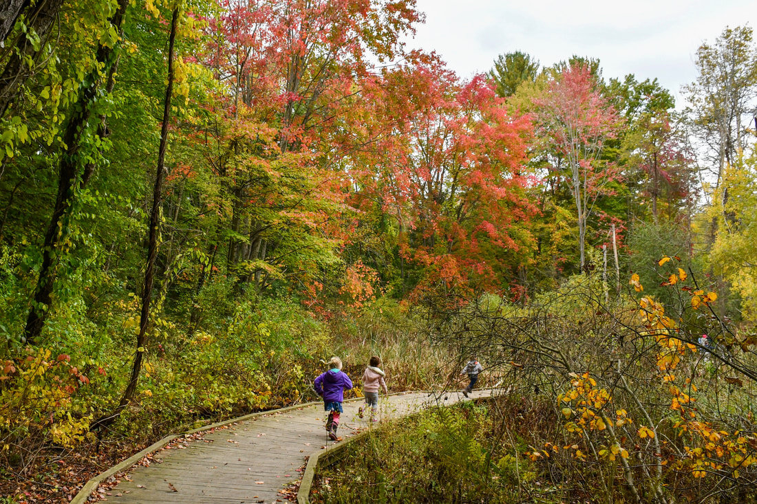 br/>Find the Hidden Nature Gems Near You! — 1000 Hours Outside”><br /> <span><i>Source Image: 1000hoursoutside.com</i></span> <br /><a href=