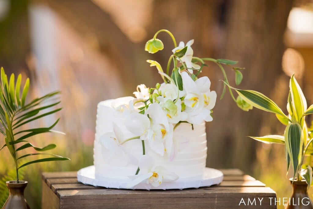 Catalina-View-Gardens-Wedding-Amy-Theilig-Photography_0067-1024x683.jpg (Copy)