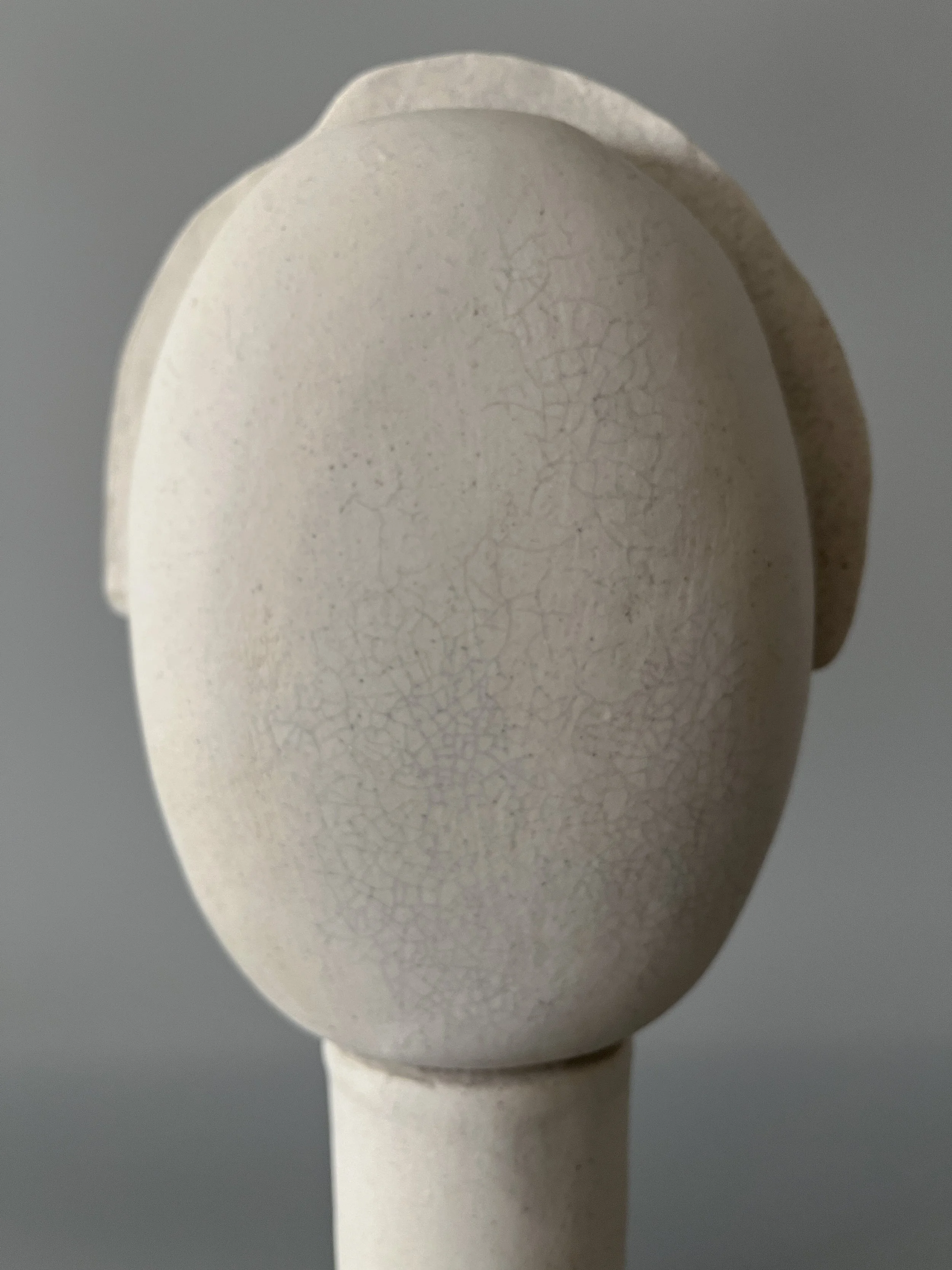Anthropoids XXI-8.jpg