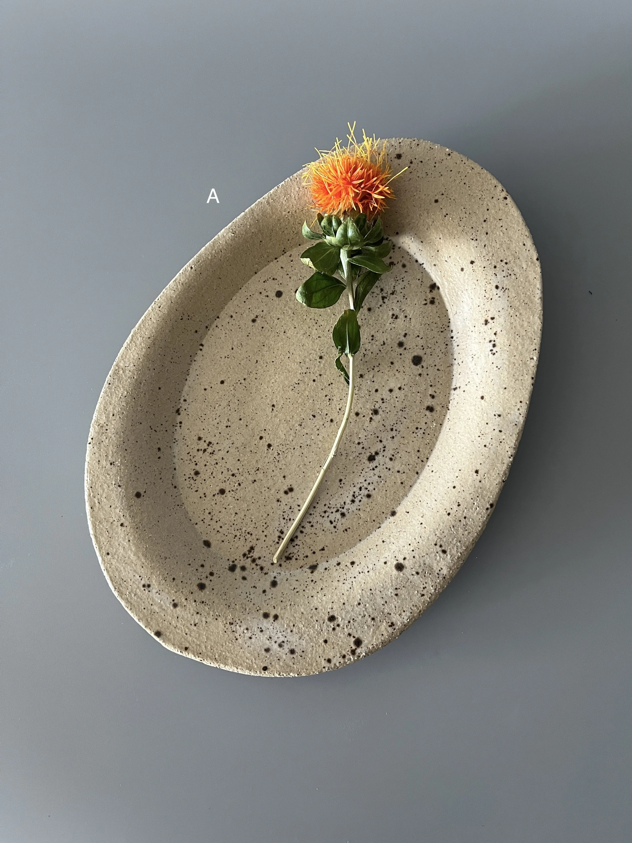 Cocoa Cut Plate Oval S