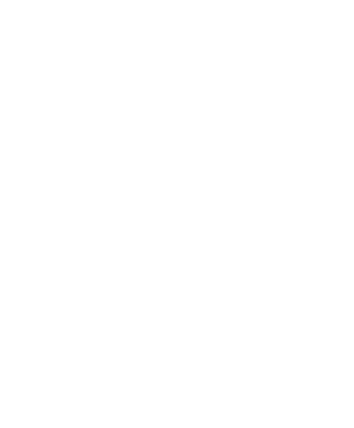 Fútbol Femenino