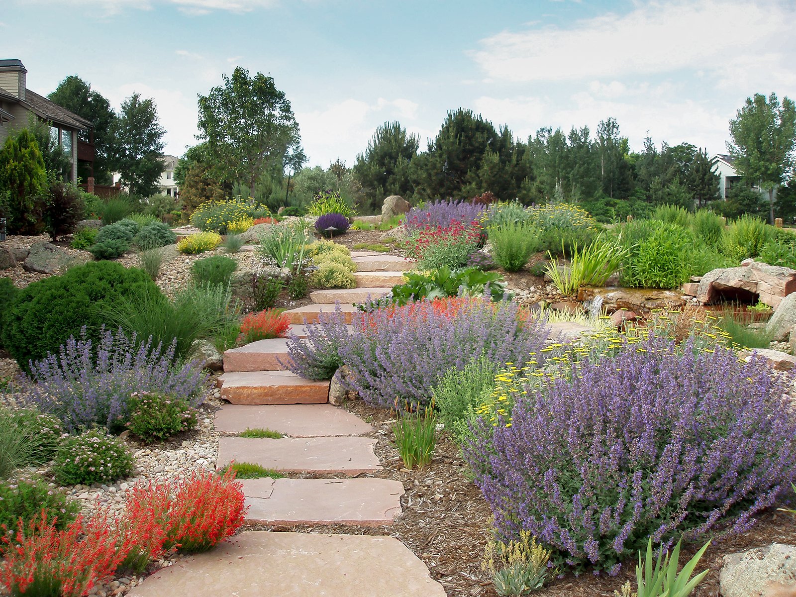 The Many Benefits of Xeriscaping: A Smarter Way to Landscape
