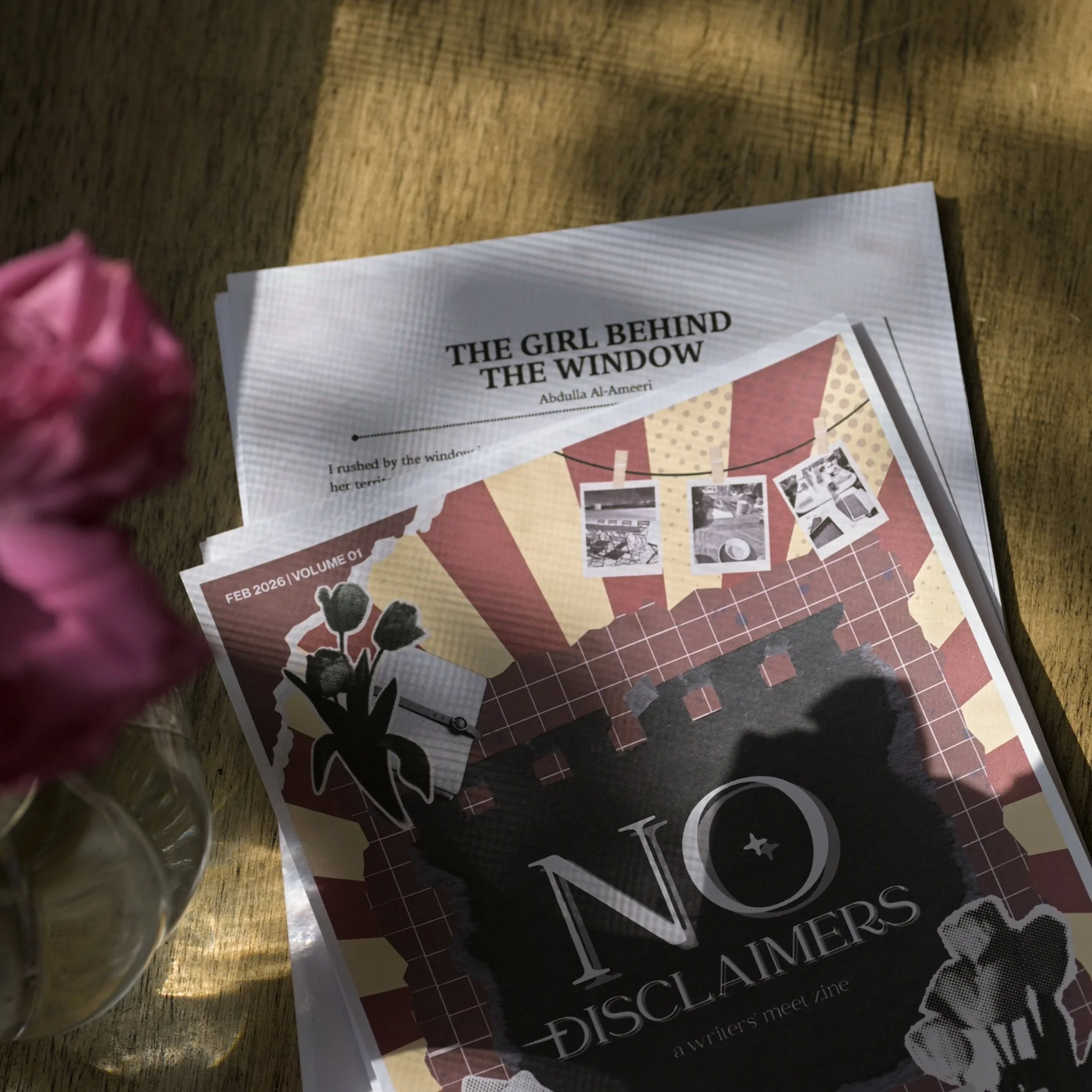 The Girl Behind the Window