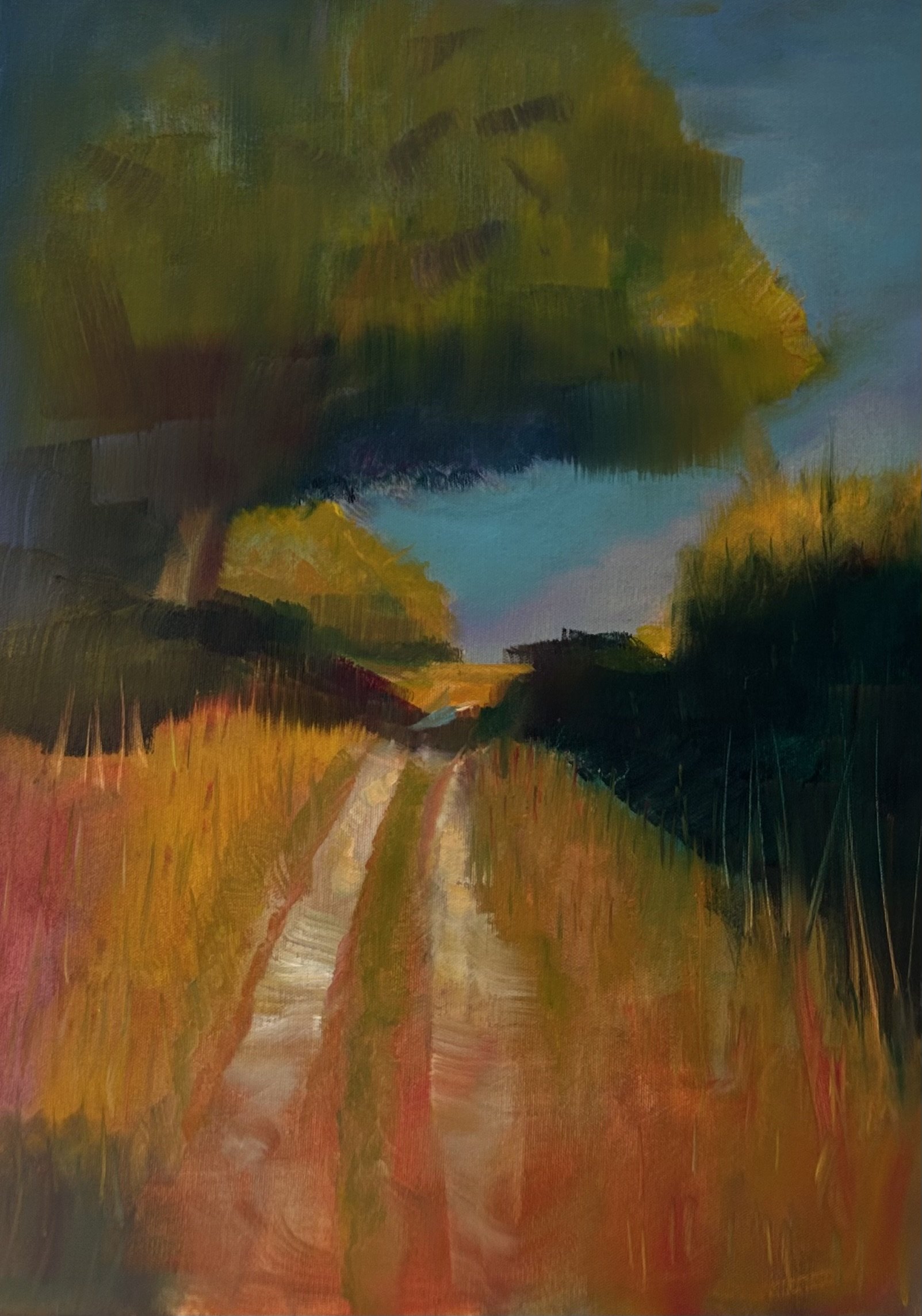 A Woodland Path