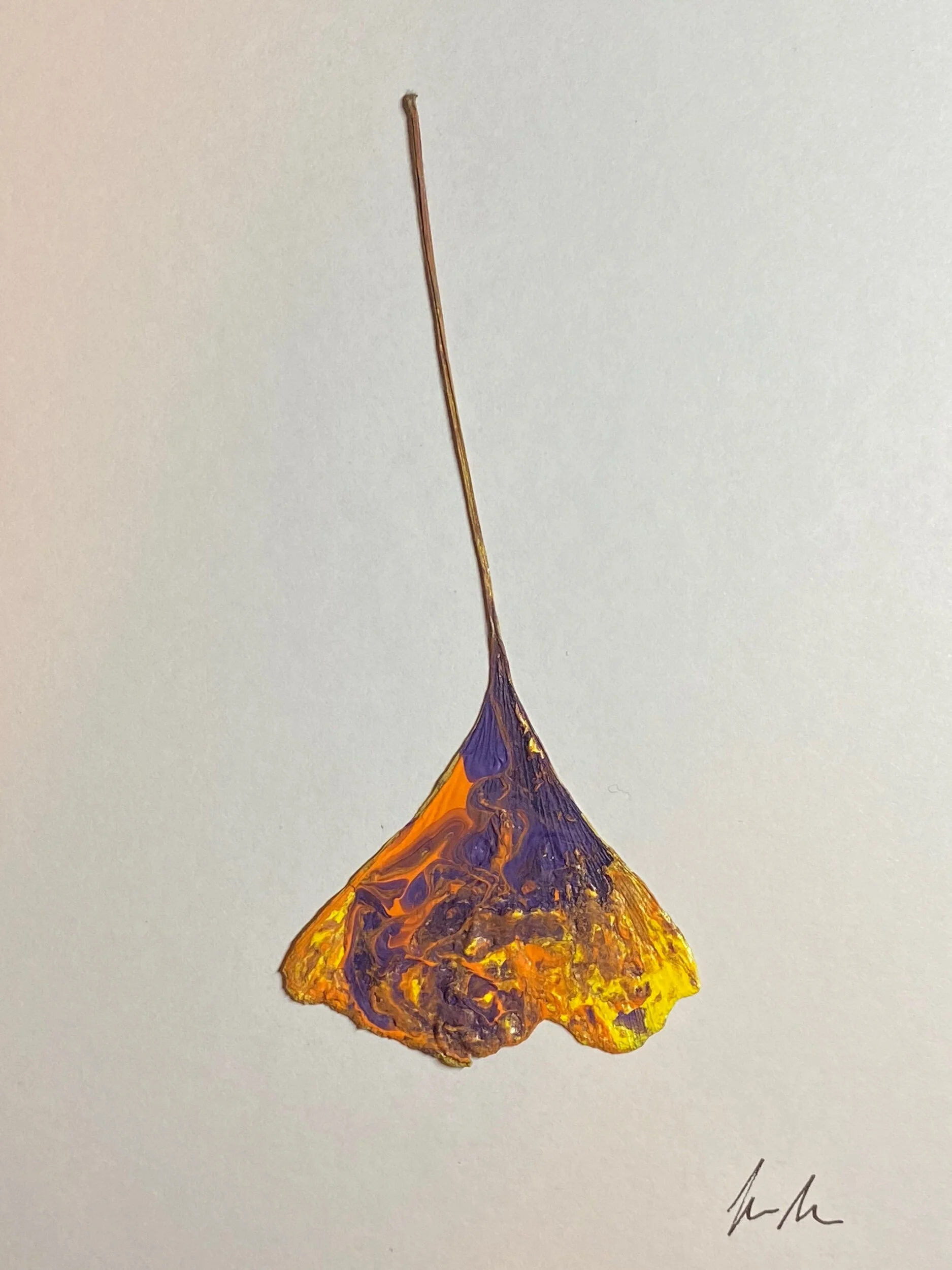 E3F105B0-5502-4E24-AD1A-E8160D33F24D