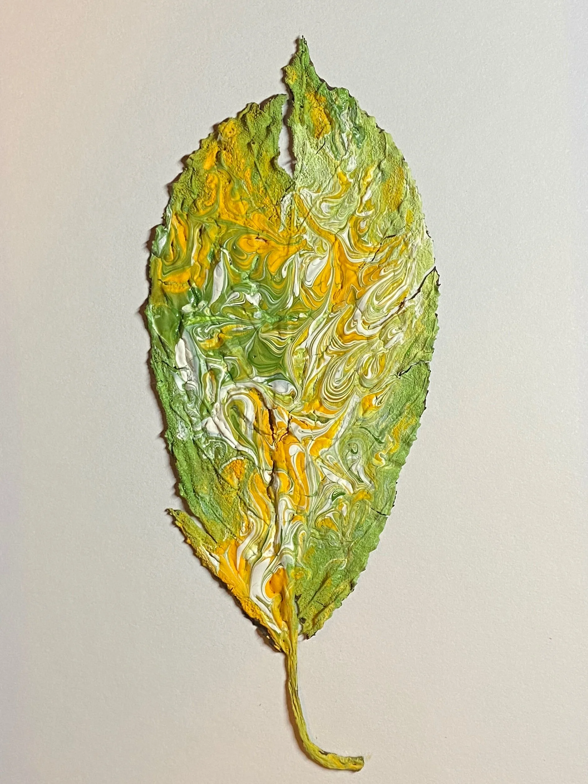 E0D35033-CC79-49A7-A8B7-C47F59E05DC0