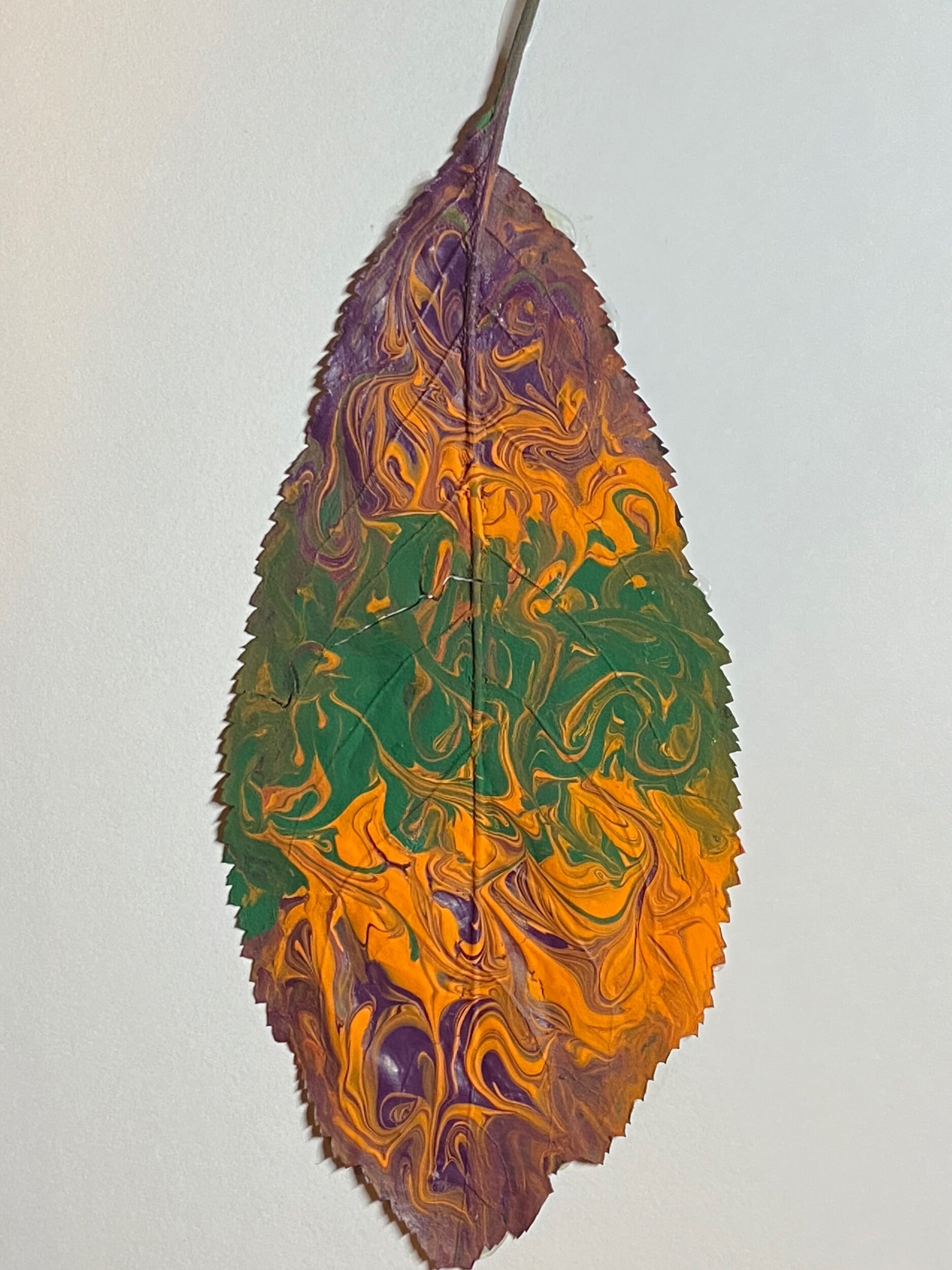 4624FB84-1EFB-4B2D-A74B-A32A14310432