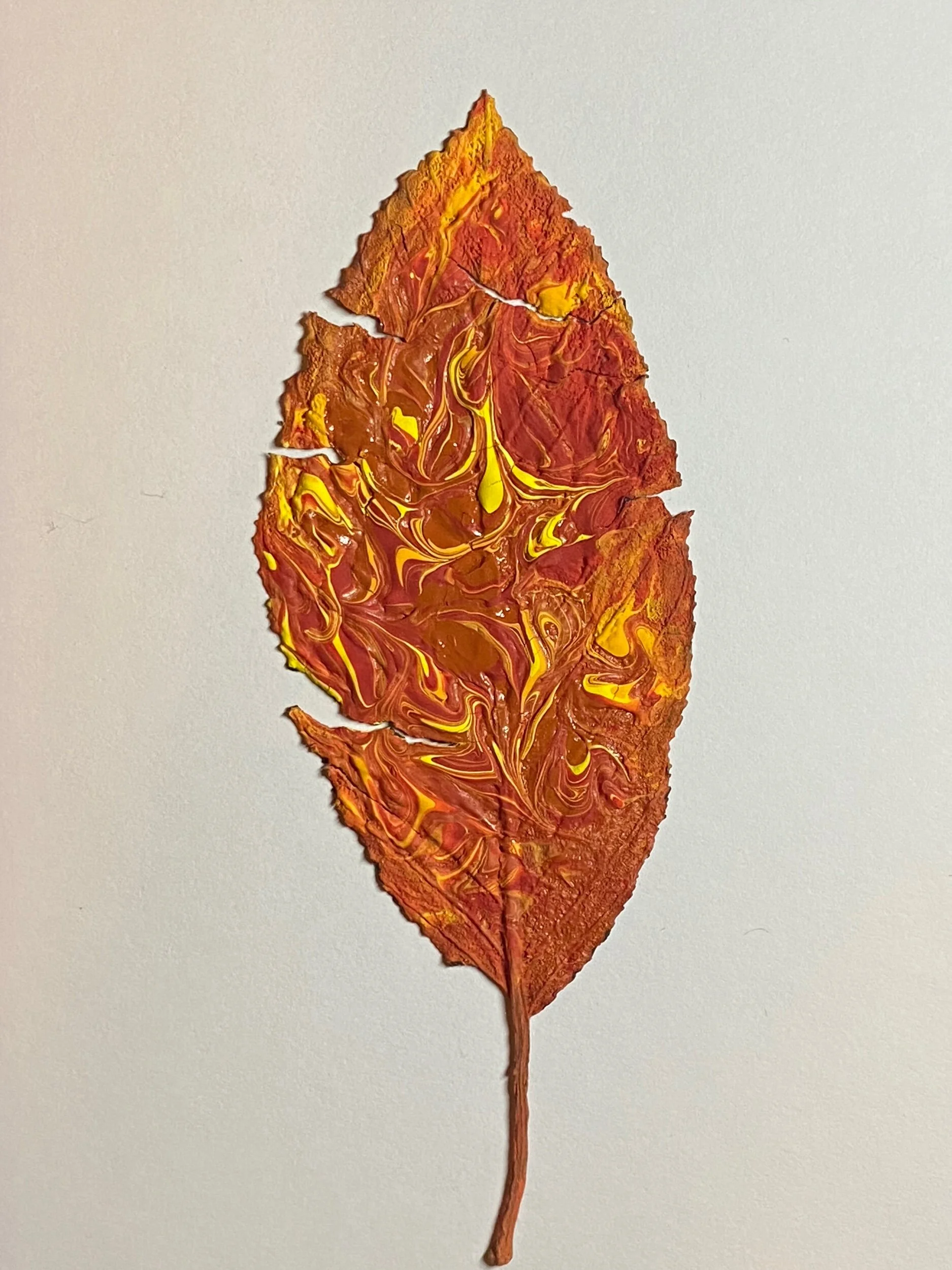 DA968183-97A7-4F1B-8957-6E3CF2E3140B