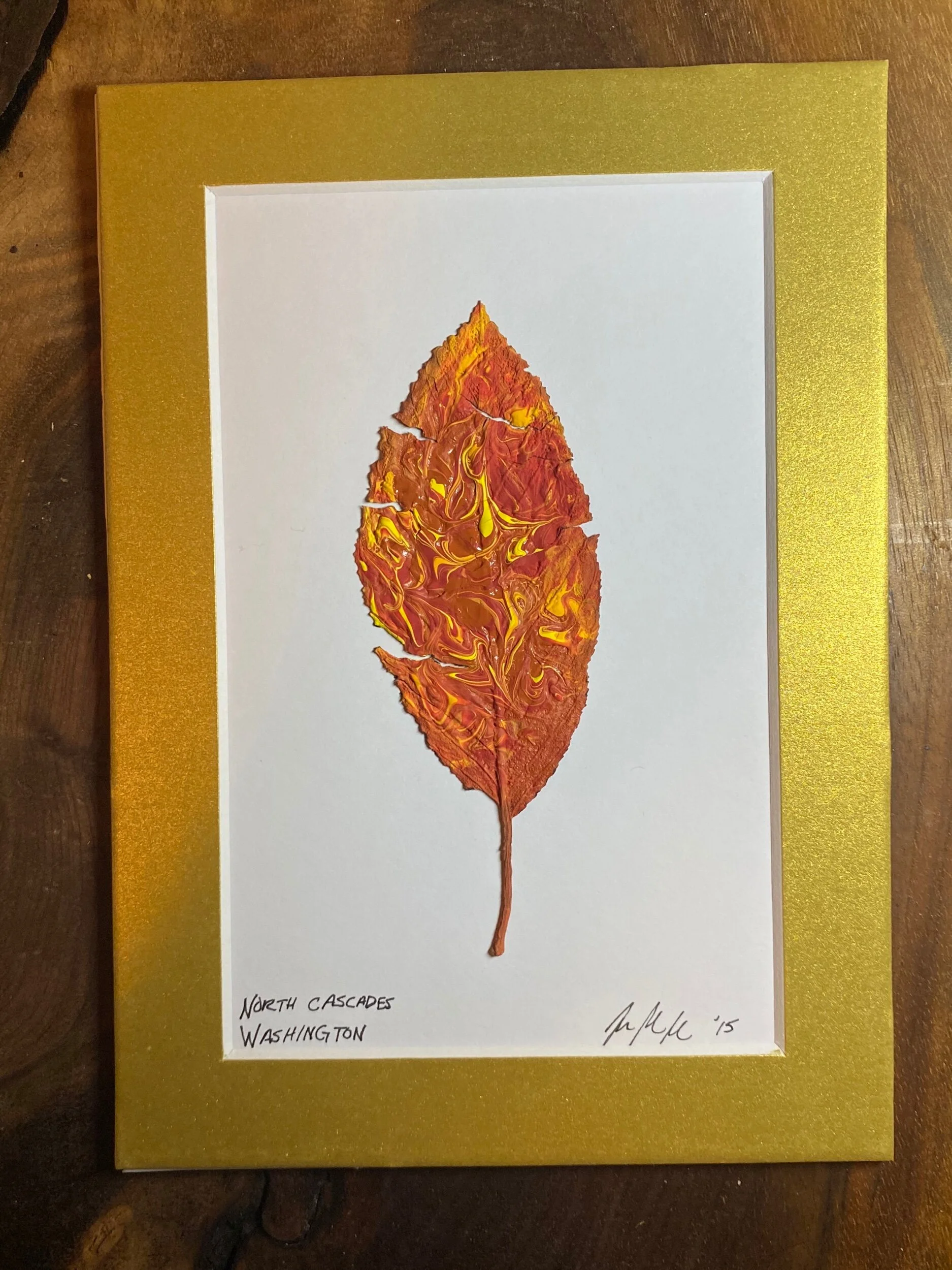 E1798BEE-989A-409E-8732-BE1891C6EF31