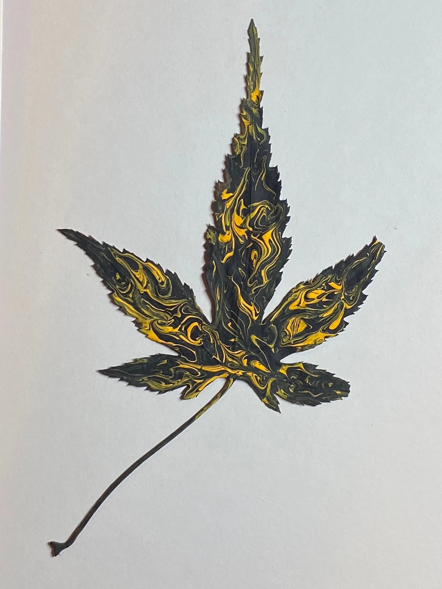 61E30B00-664D-47F6-ABE4-F8BBCC6F4546