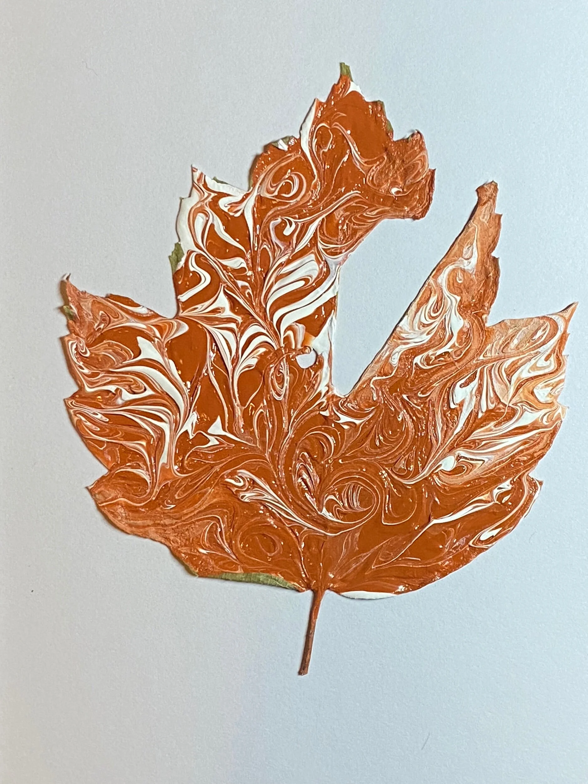 A552FD69-4377-4E20-BD07-45C455B30A61