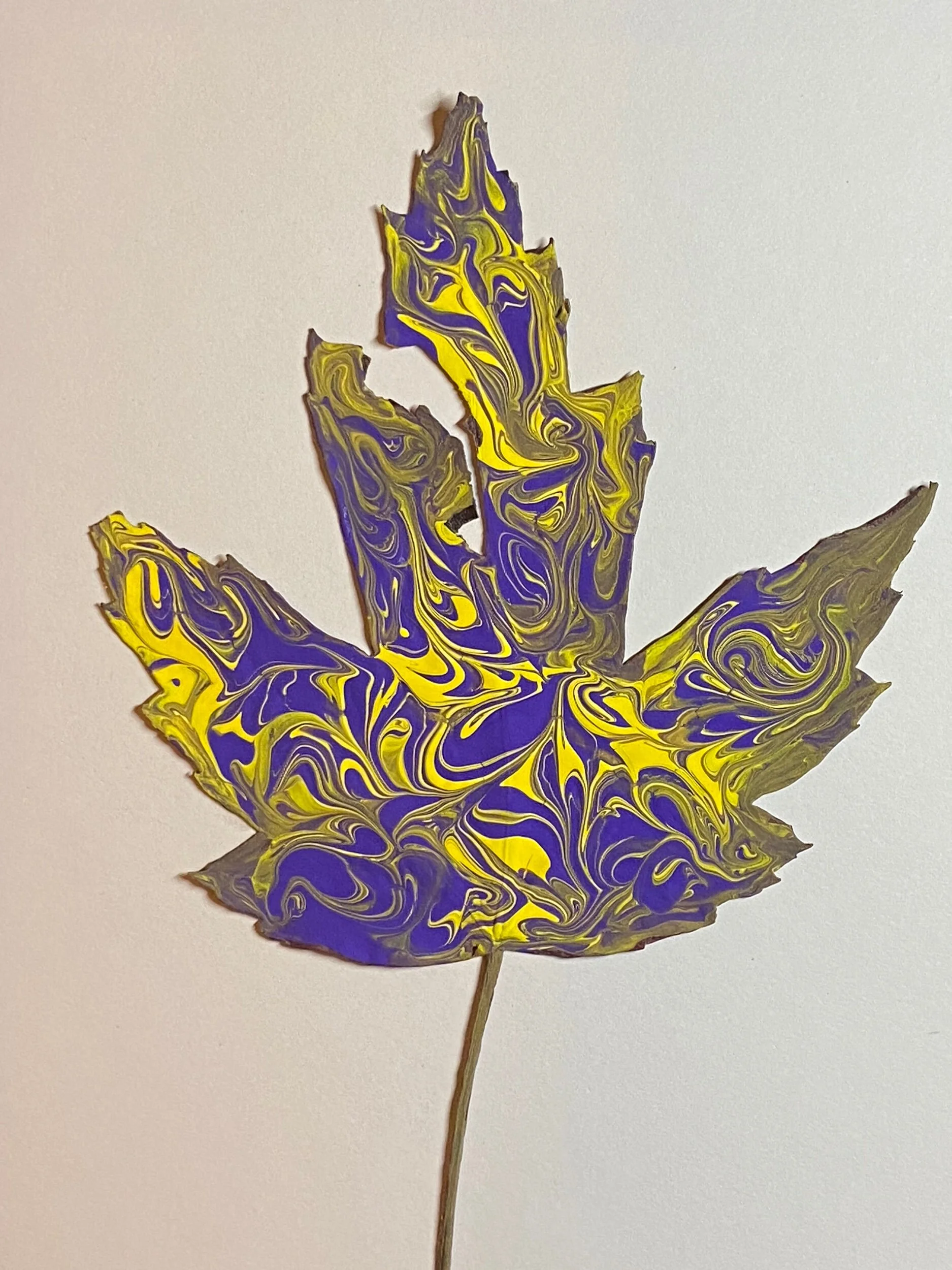 4FE08F52-0E34-4FE0-8356-6E90AB3CD721