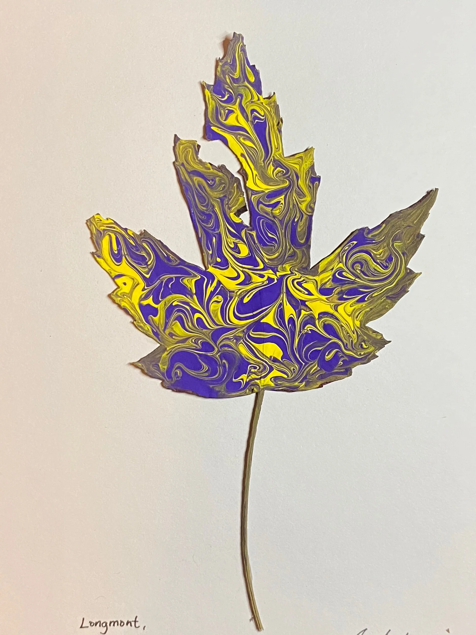 CEA6D626-0547-42FE-8065-2B231DFB1DFB