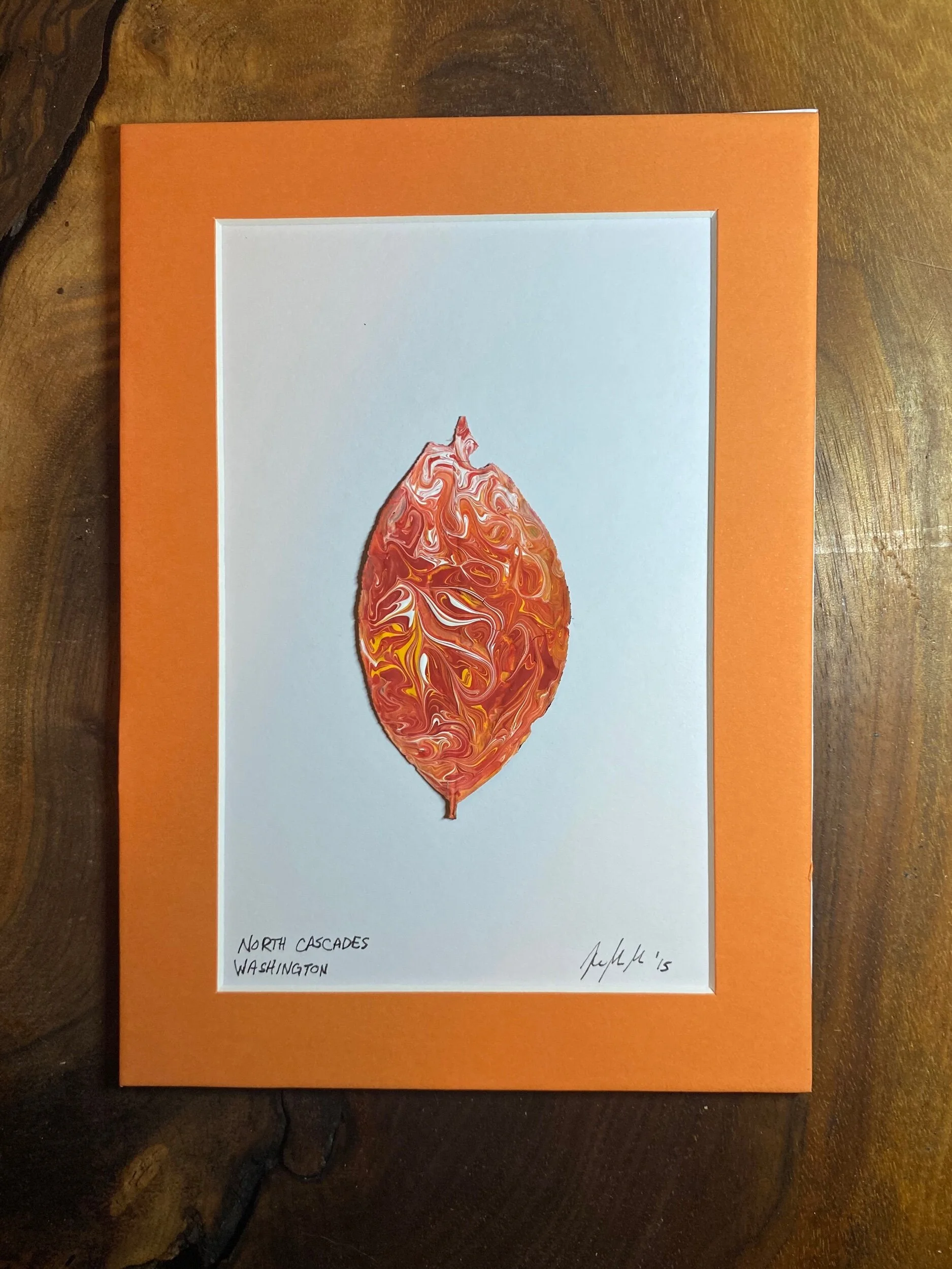 F15FF5D9-2728-4E15-9F98-2E6EBE9A9209