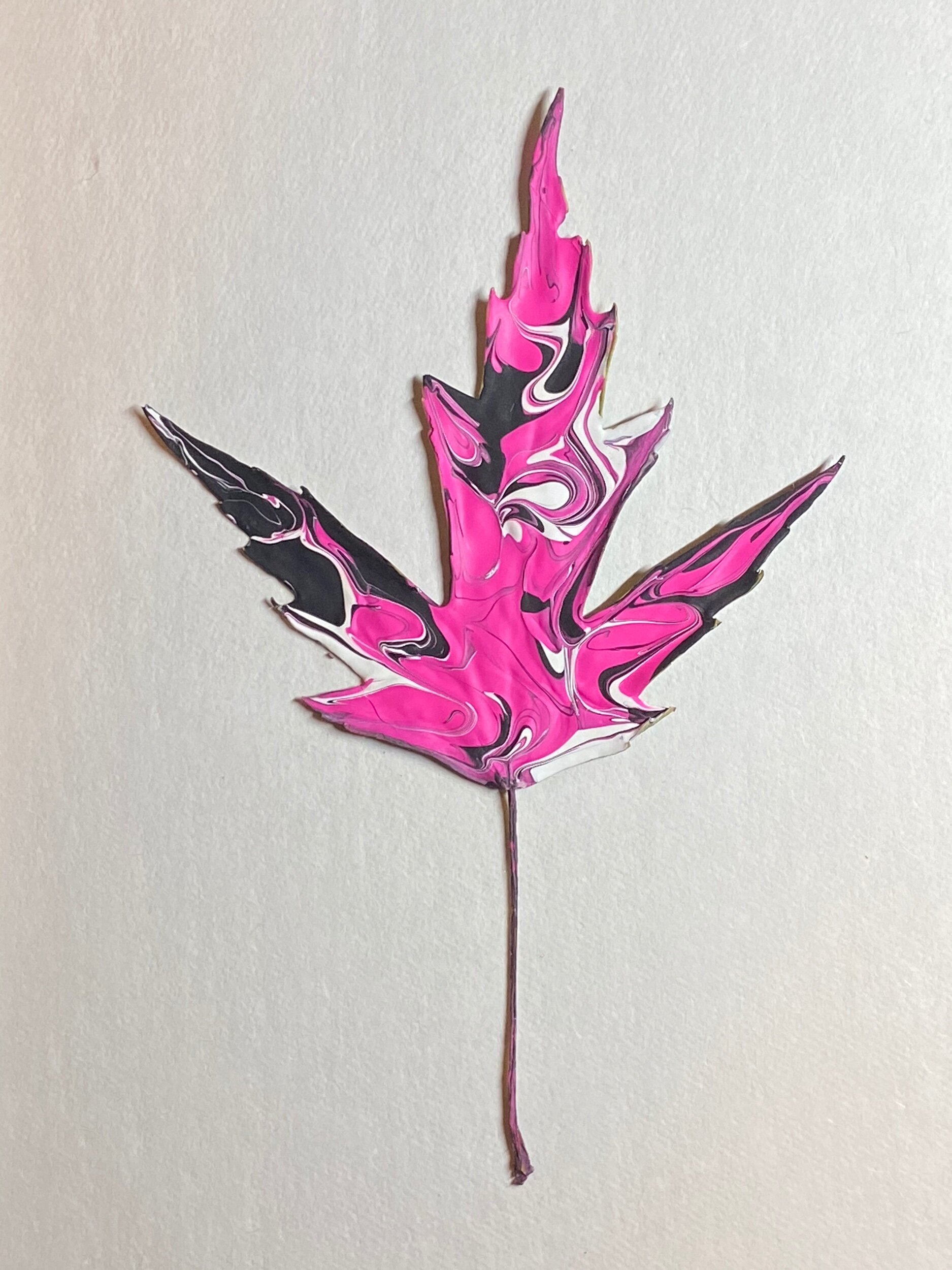 04AFEA9F-D6FD-4D7B-B6EE-6A3722FEC32F