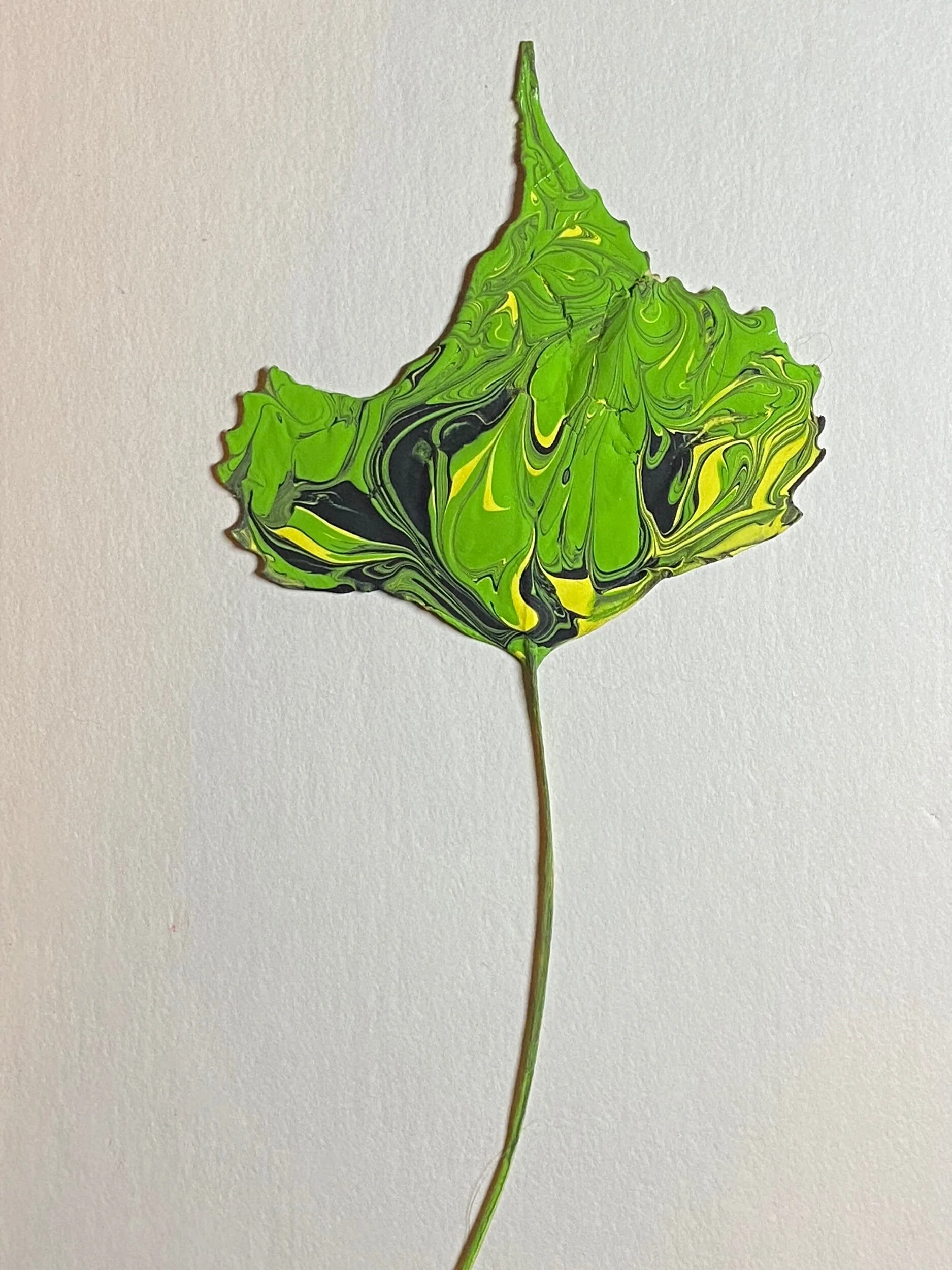 A882371A-2DE0-4AA5-9D24-53BB6425453E