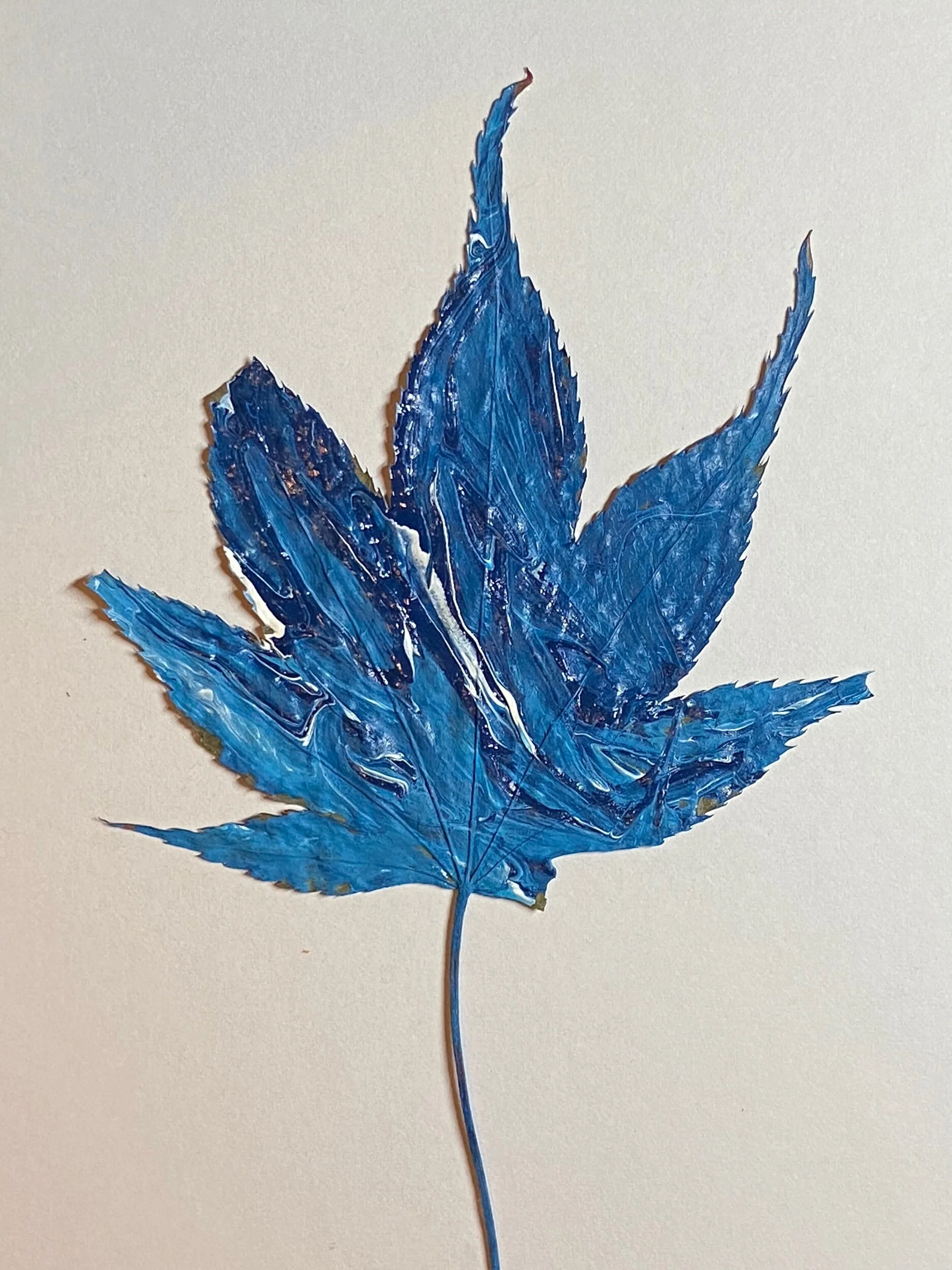 43C4CDAF-6229-43A1-82D6-5BC6852B823E