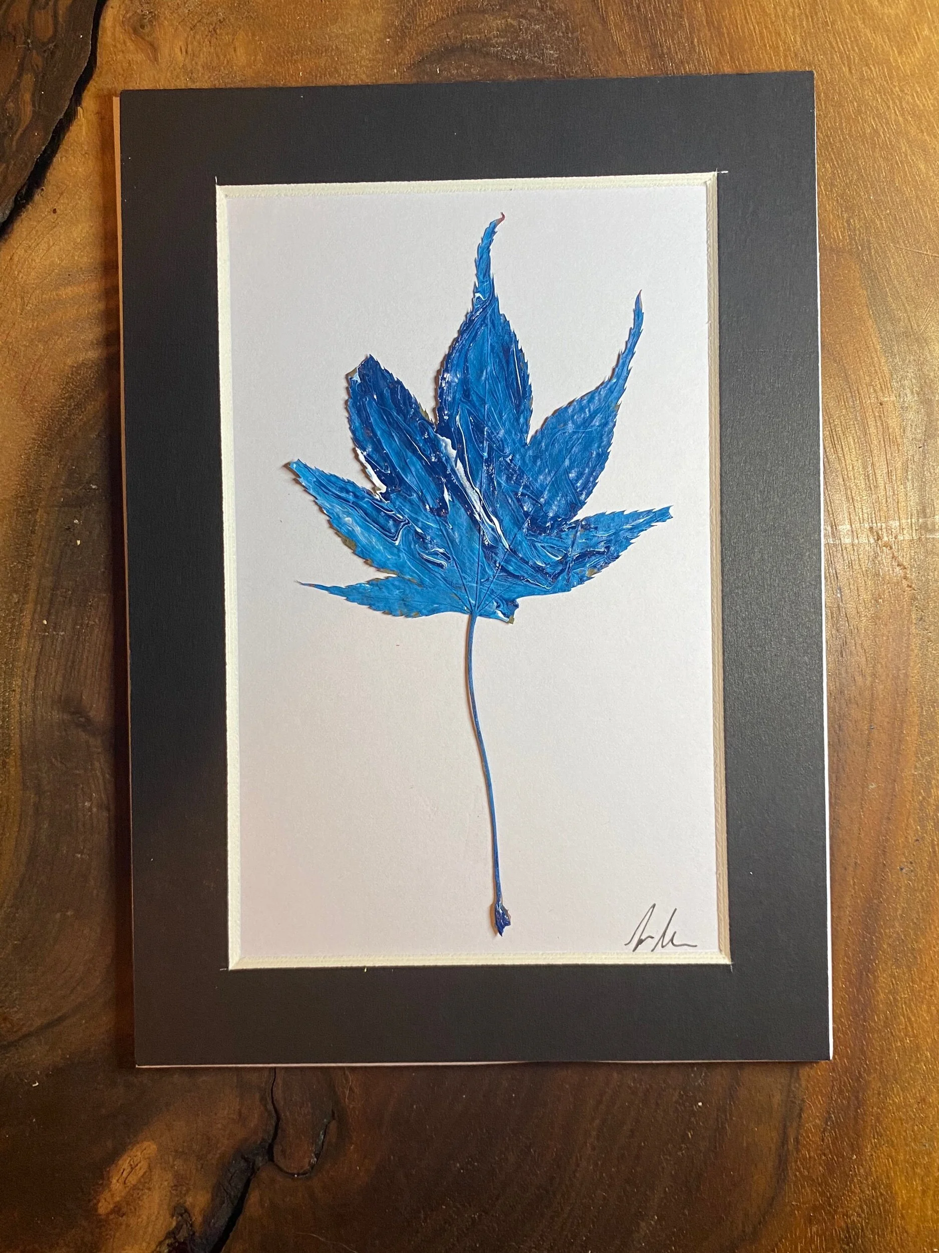 8FC8069E-884E-4CF1-BF9A-1F398E1F4973