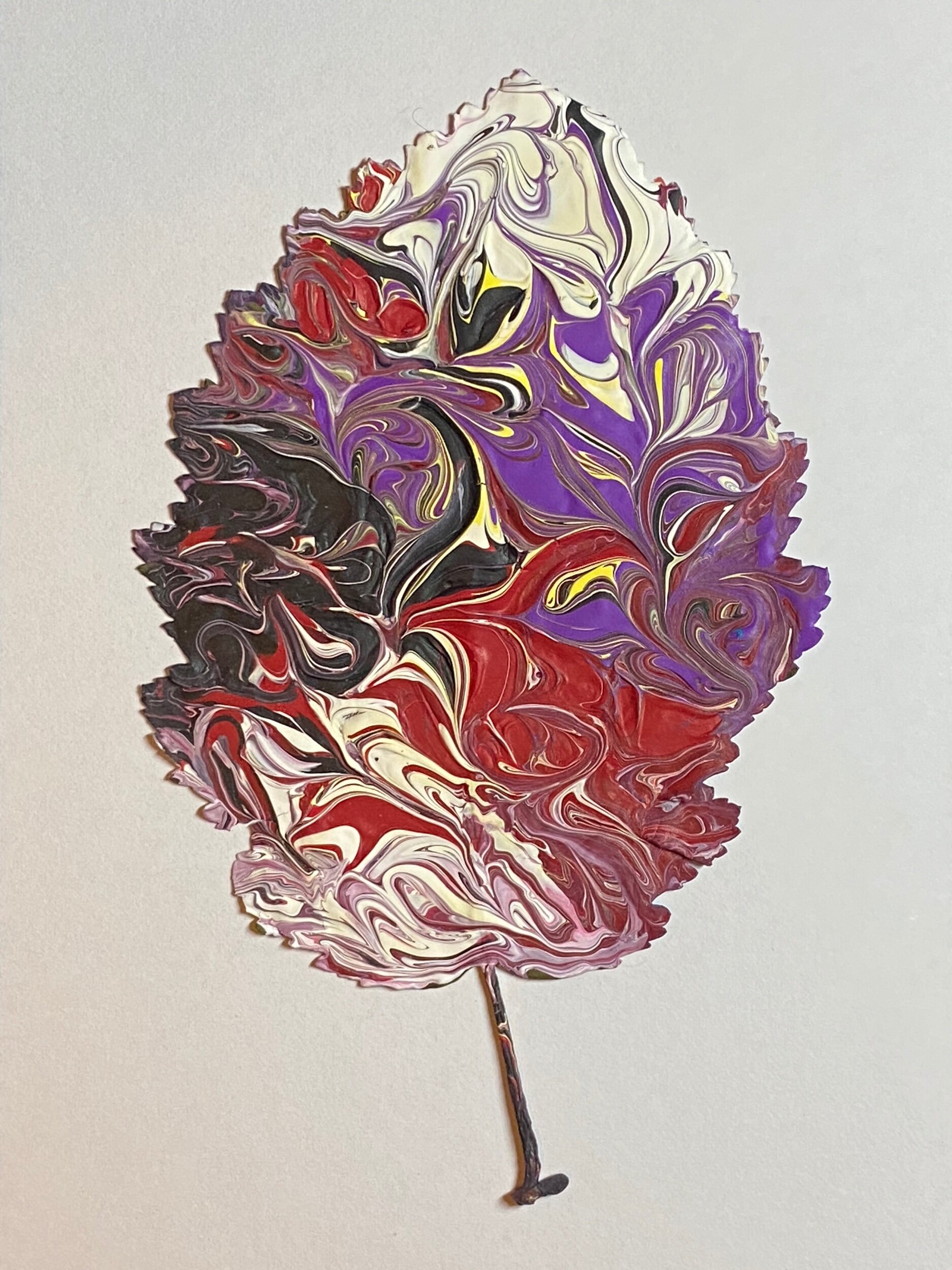 CCFB4162-C47E-419B-8F03-4D66D1A4E37E