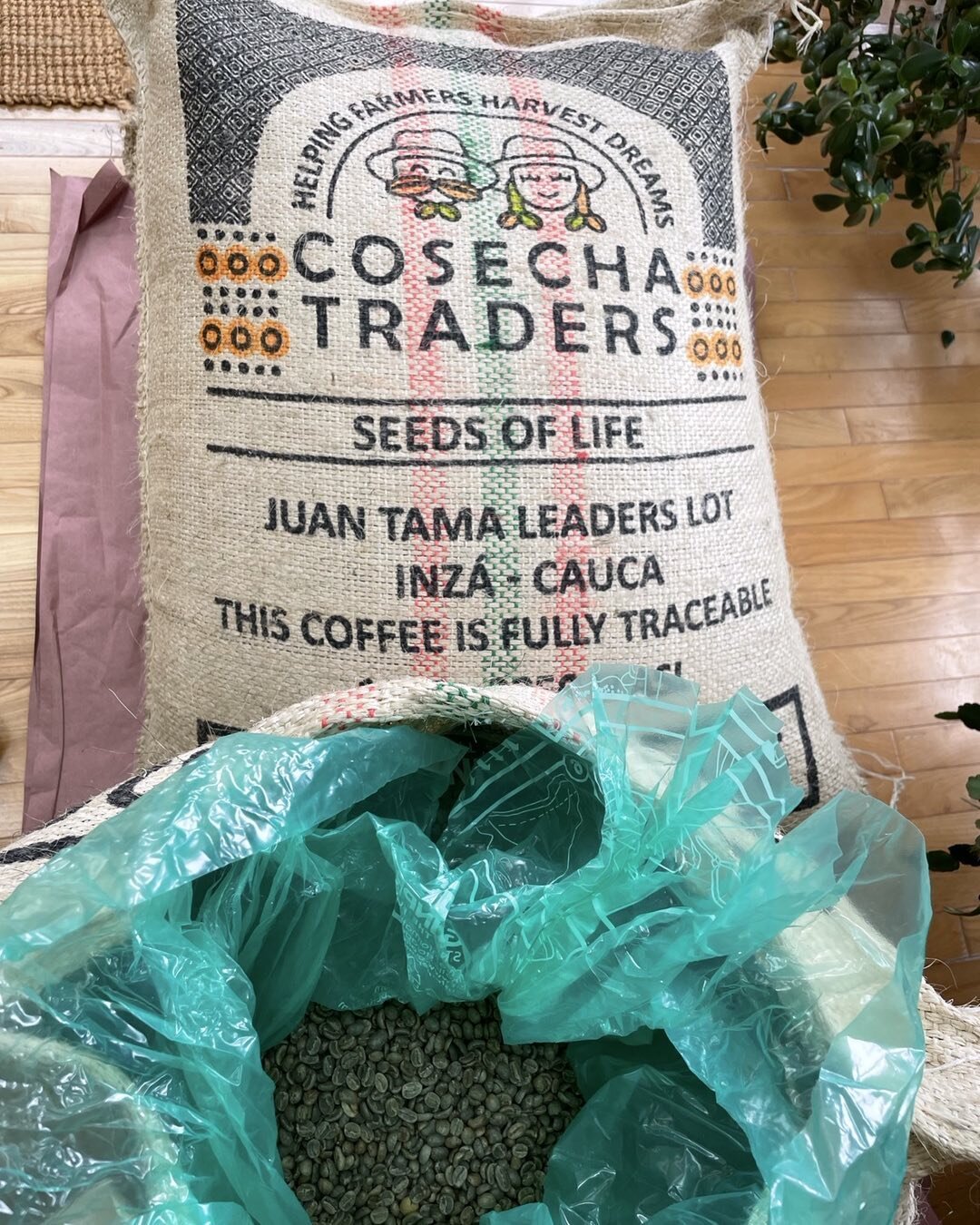 Cosecha Traders &ldquo;Seeds of Life&rdquo; Juan Tama Leaders Lot Inza- Cauca Colombia Coffee coming to @locobeanscoffee this week. Roasting it today 🎉🎊🙏 #freshroastedcoffee #locobeanscoffeeroundtheworld #leesburgva #loveloudoun