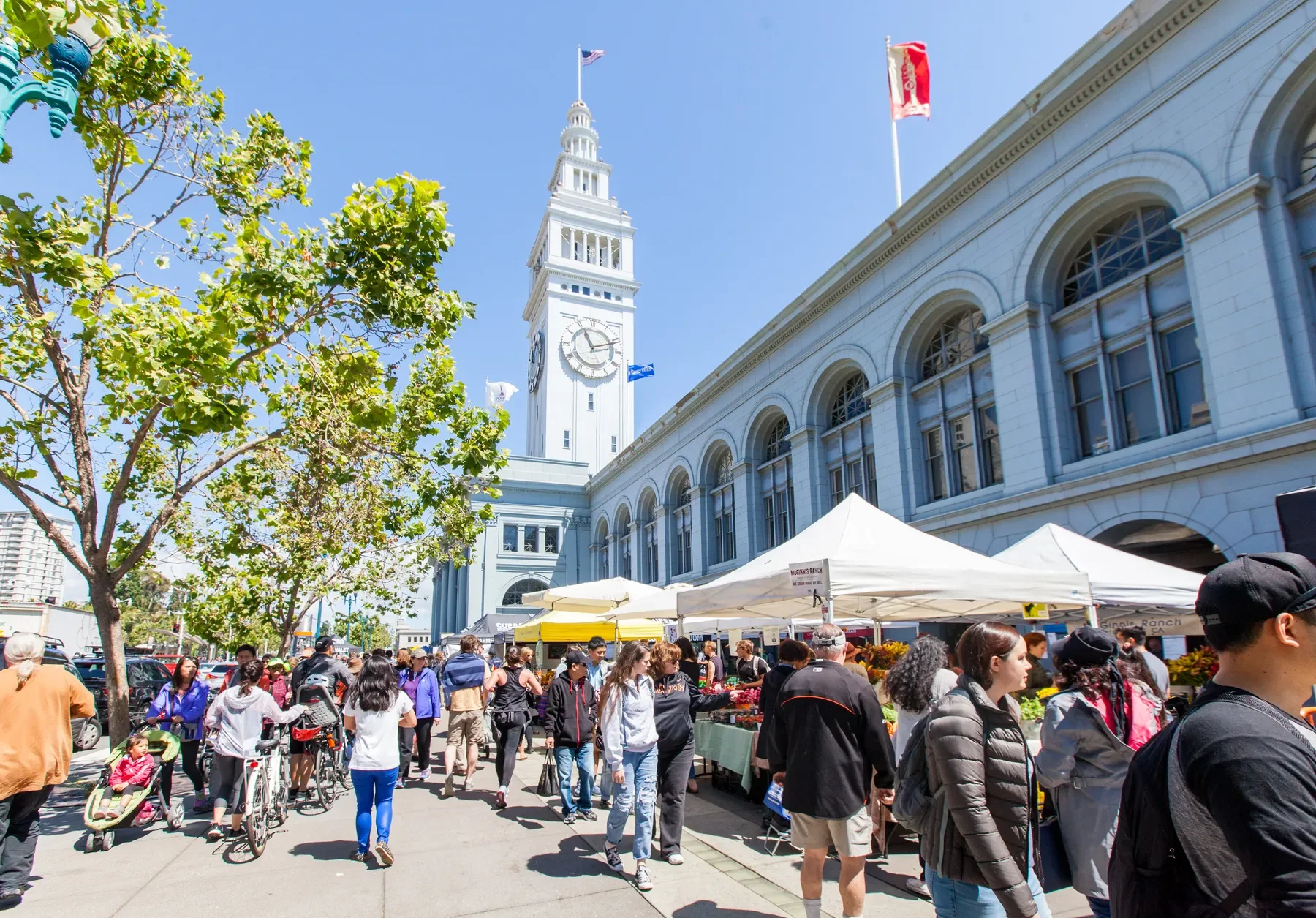 Ferry Building Farmers Market Outreach: Election Day!